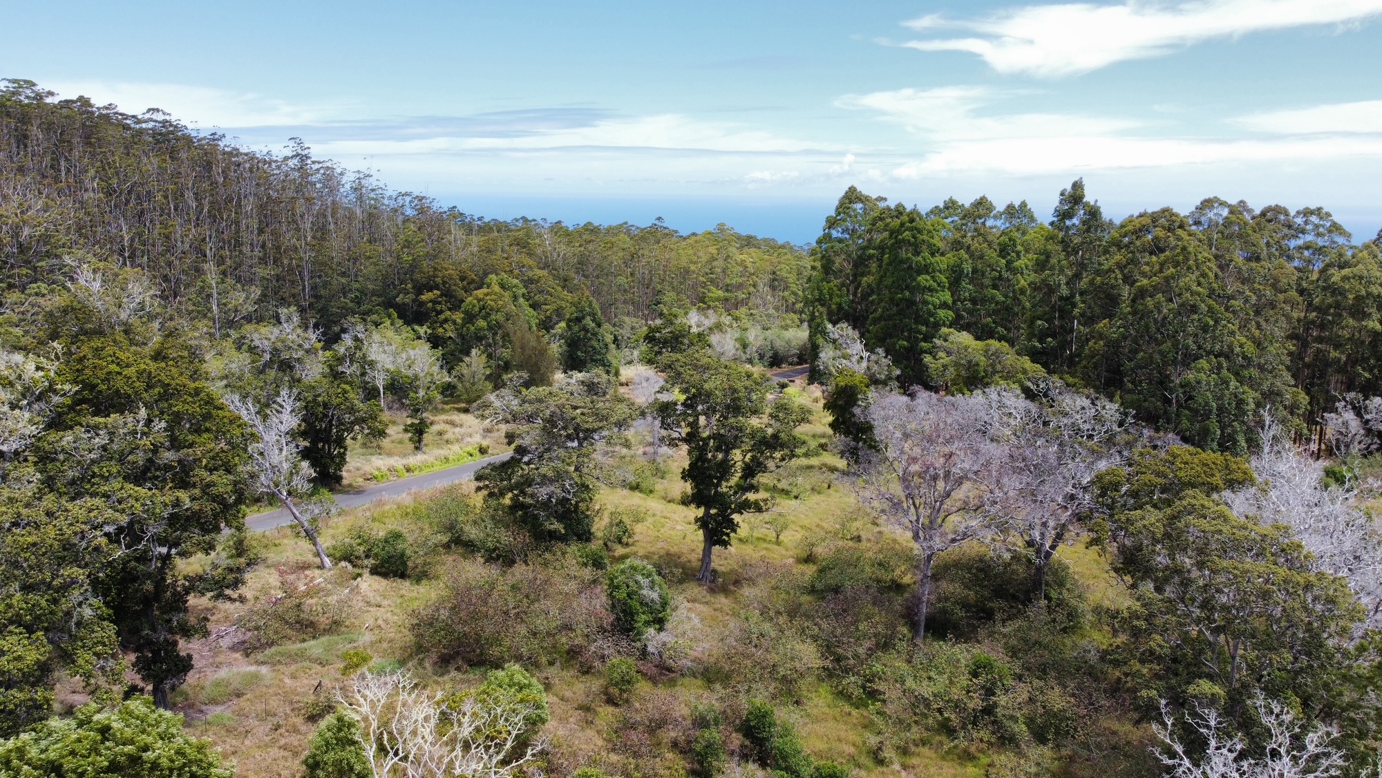 4 Lot Paauilo, HI 96776 - Photo 18 of 18 a view of a bunch of trees