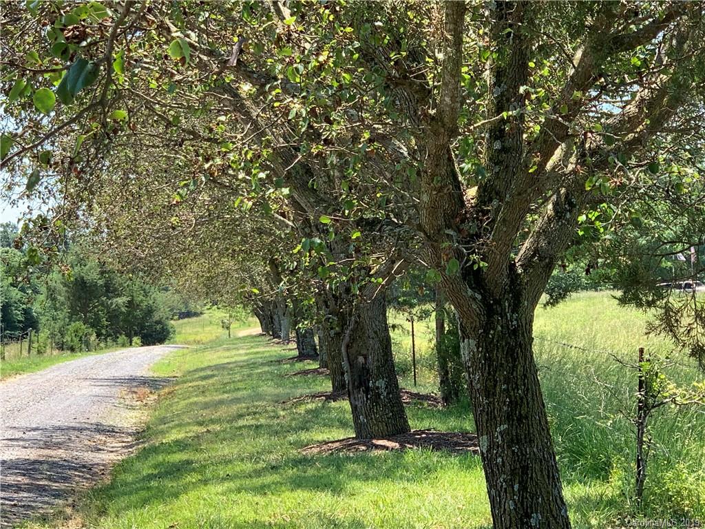 6026 Fish Road Marshville, NC 28103 - Photo 39 of 45 a view of a trees with a yard