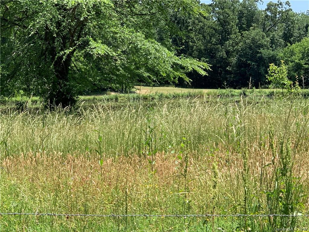 6026 Fish Road Marshville, NC 28103 - Photo 41 of 45 a view of garden with trees