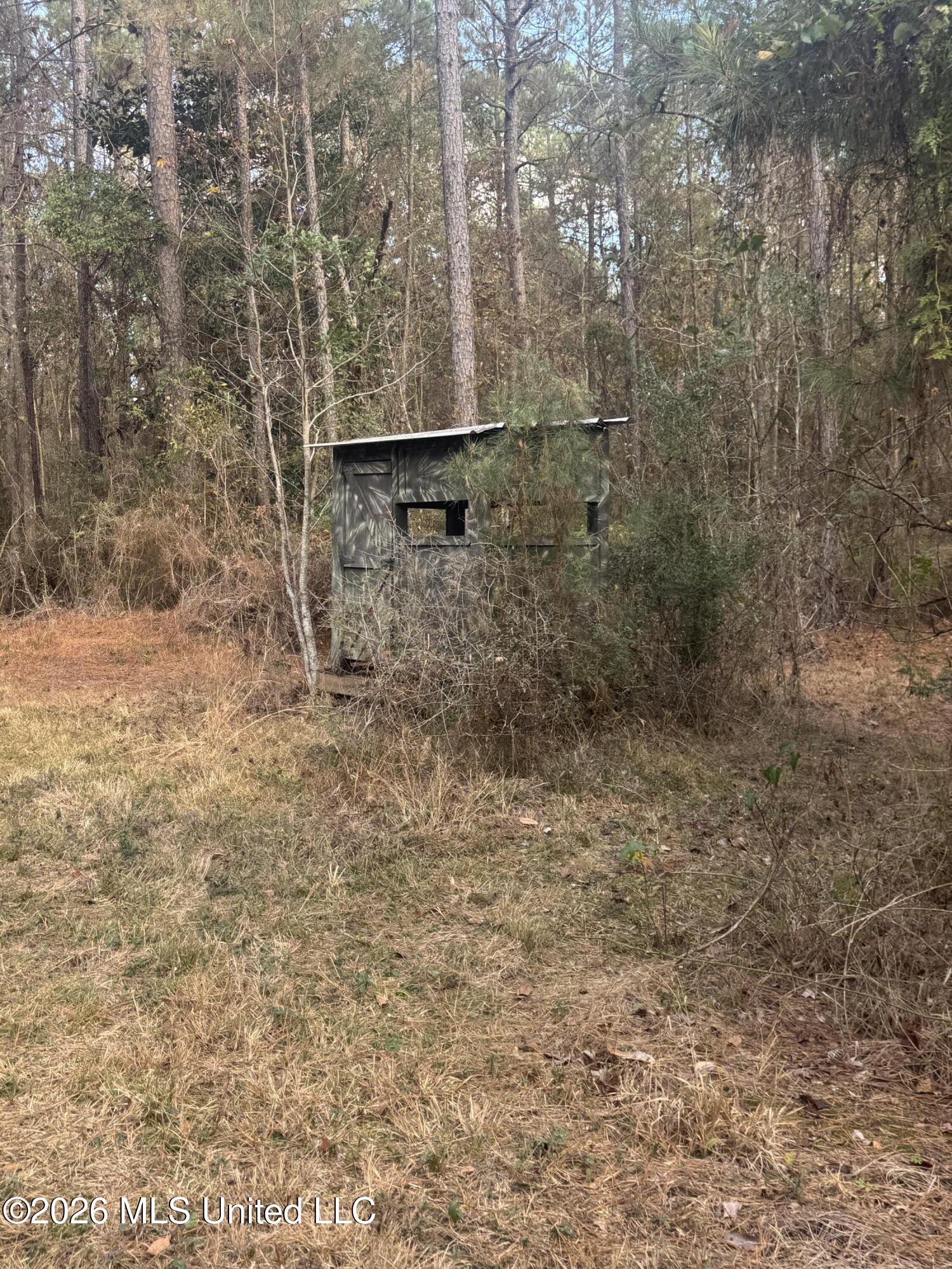 Mckenzie Road Tylertown, MS 39667 - Photo 11 of 50 11