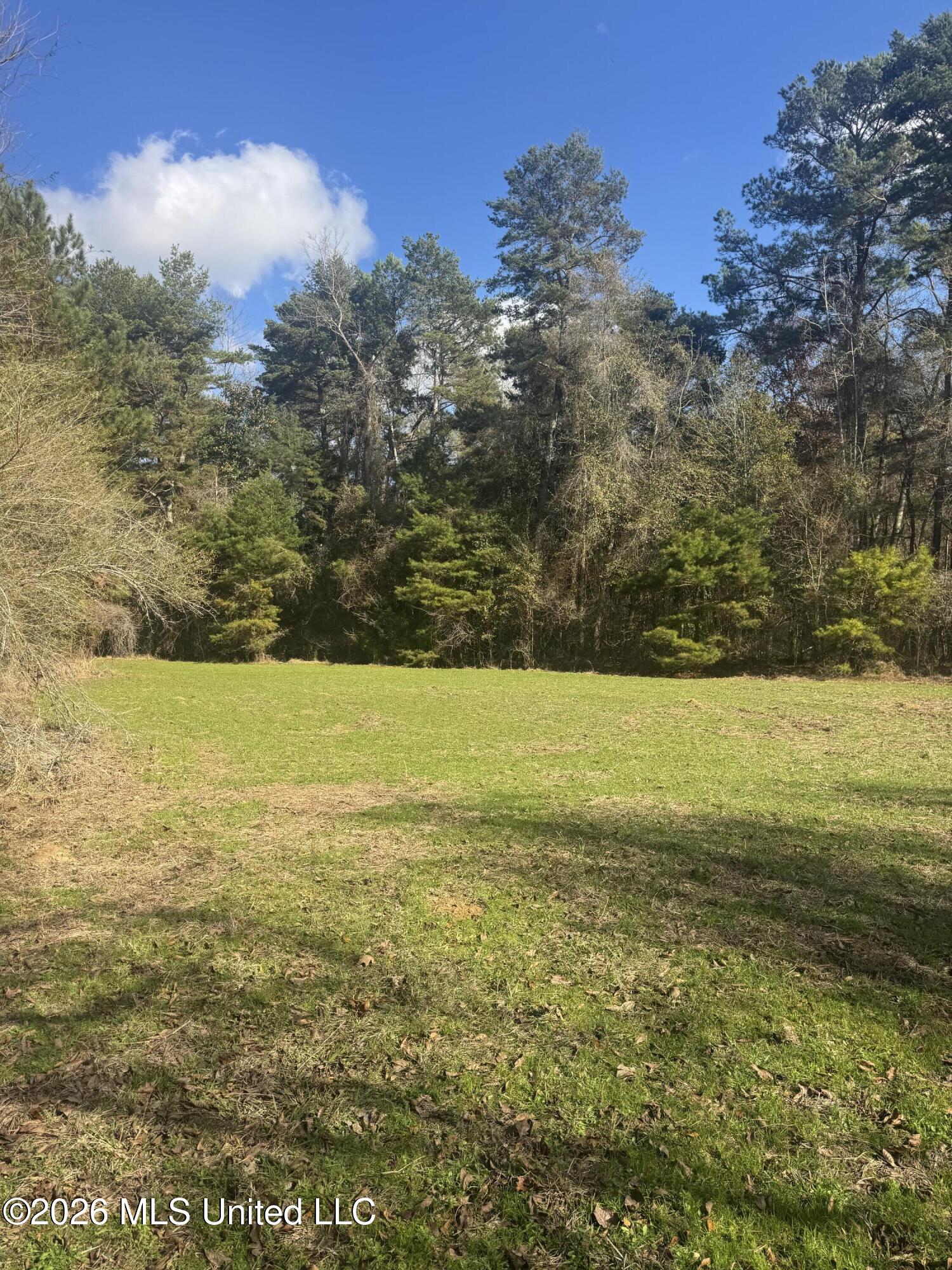 Mckenzie Road Tylertown, MS 39667 - Photo 23 of 50 23