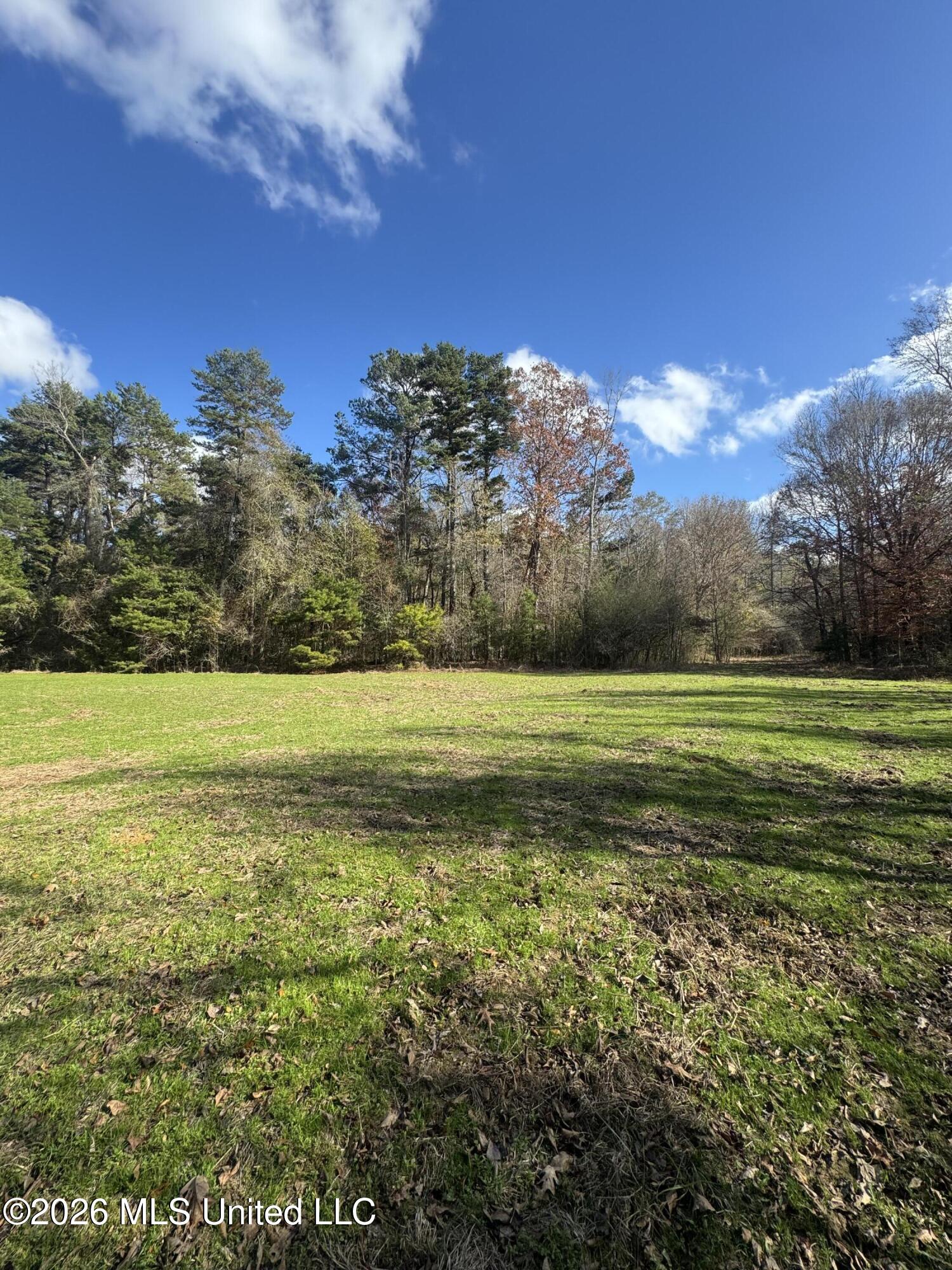 Mckenzie Road Tylertown, MS 39667 - Photo 24 of 50 24