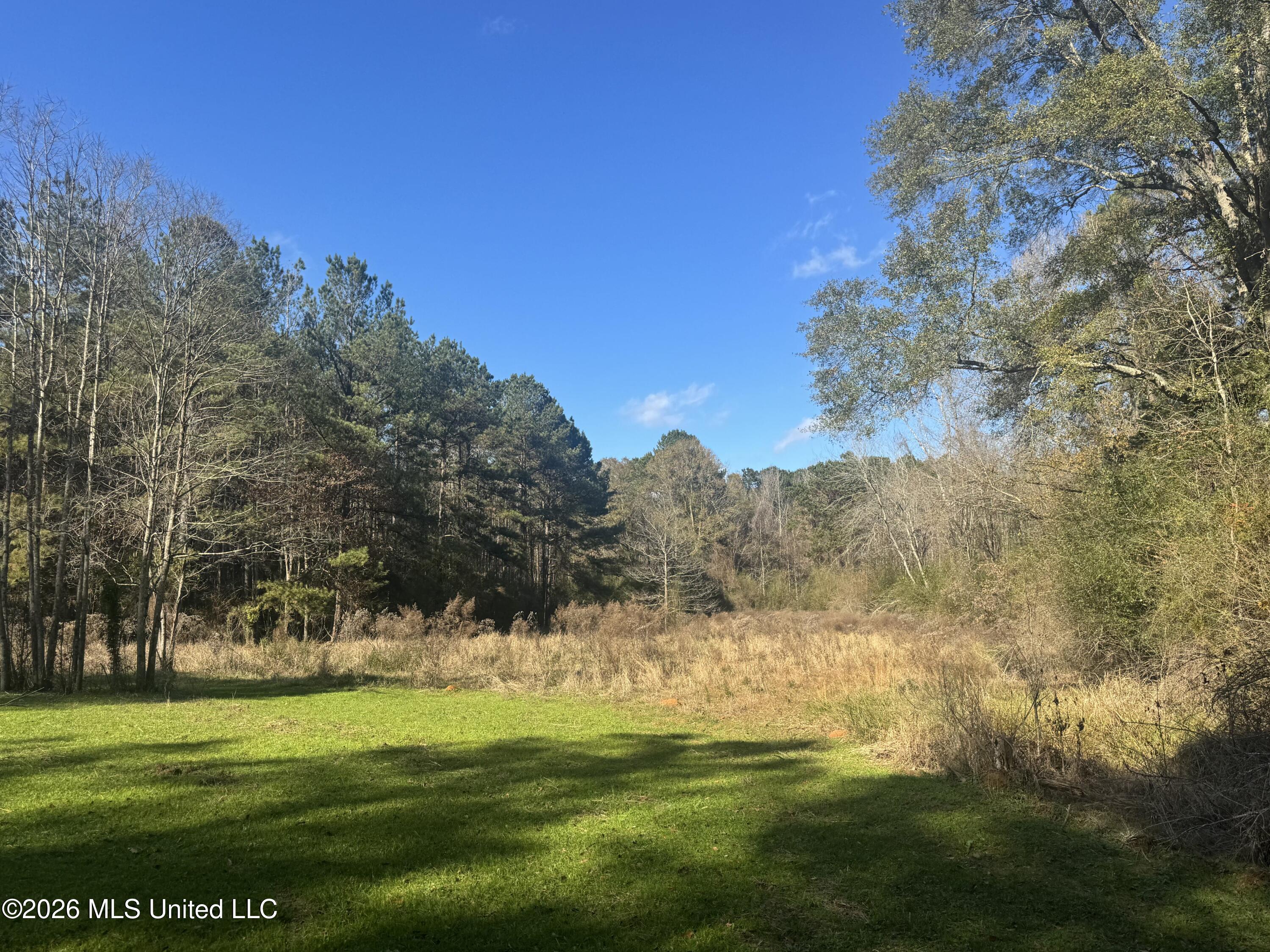 Mckenzie Road Tylertown, MS 39667 - Photo 34 of 50 34