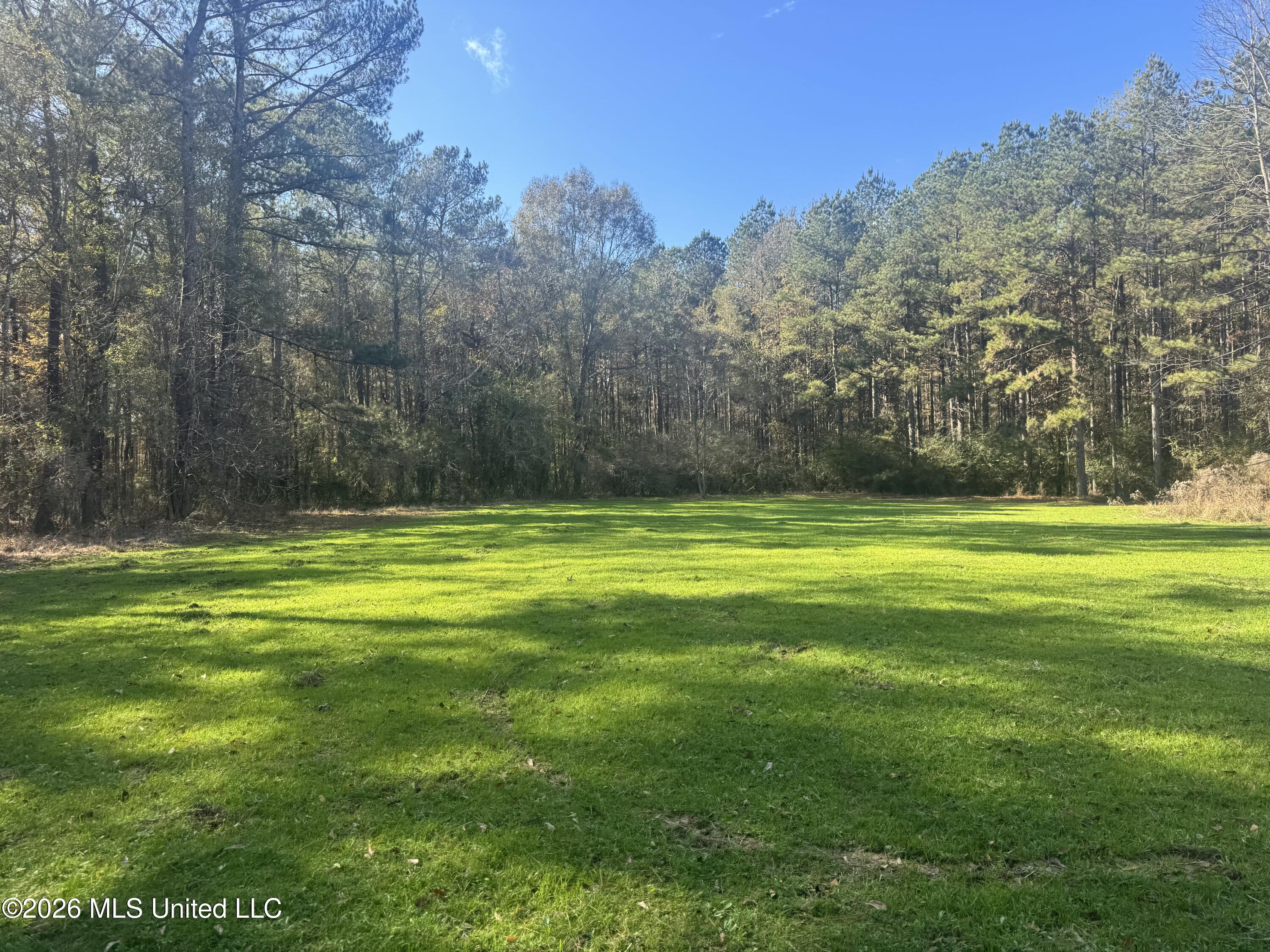 Mckenzie Road Tylertown, MS 39667 - Photo 35 of 50 35