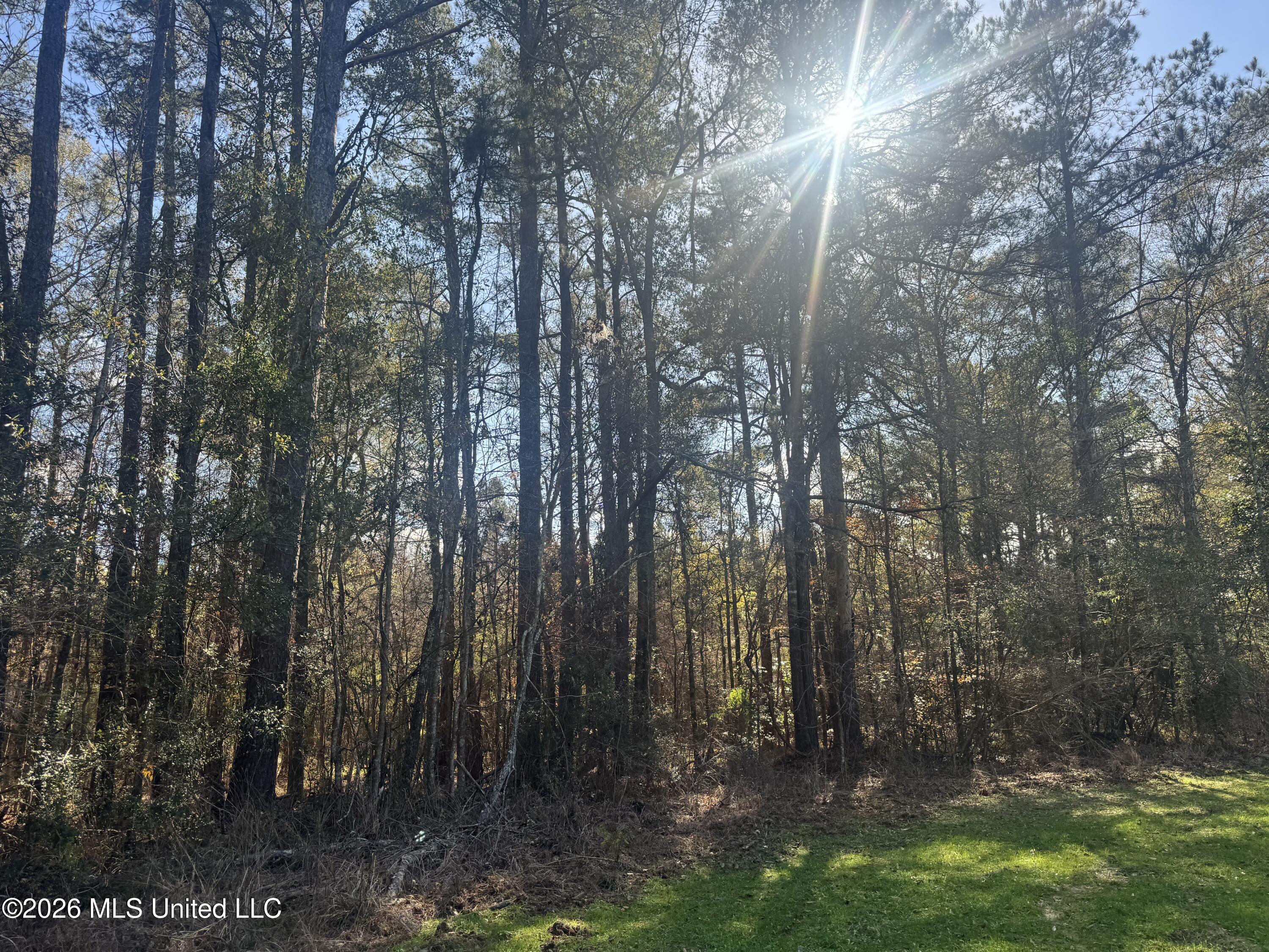 Mckenzie Road Tylertown, MS 39667 - Photo 36 of 50 36