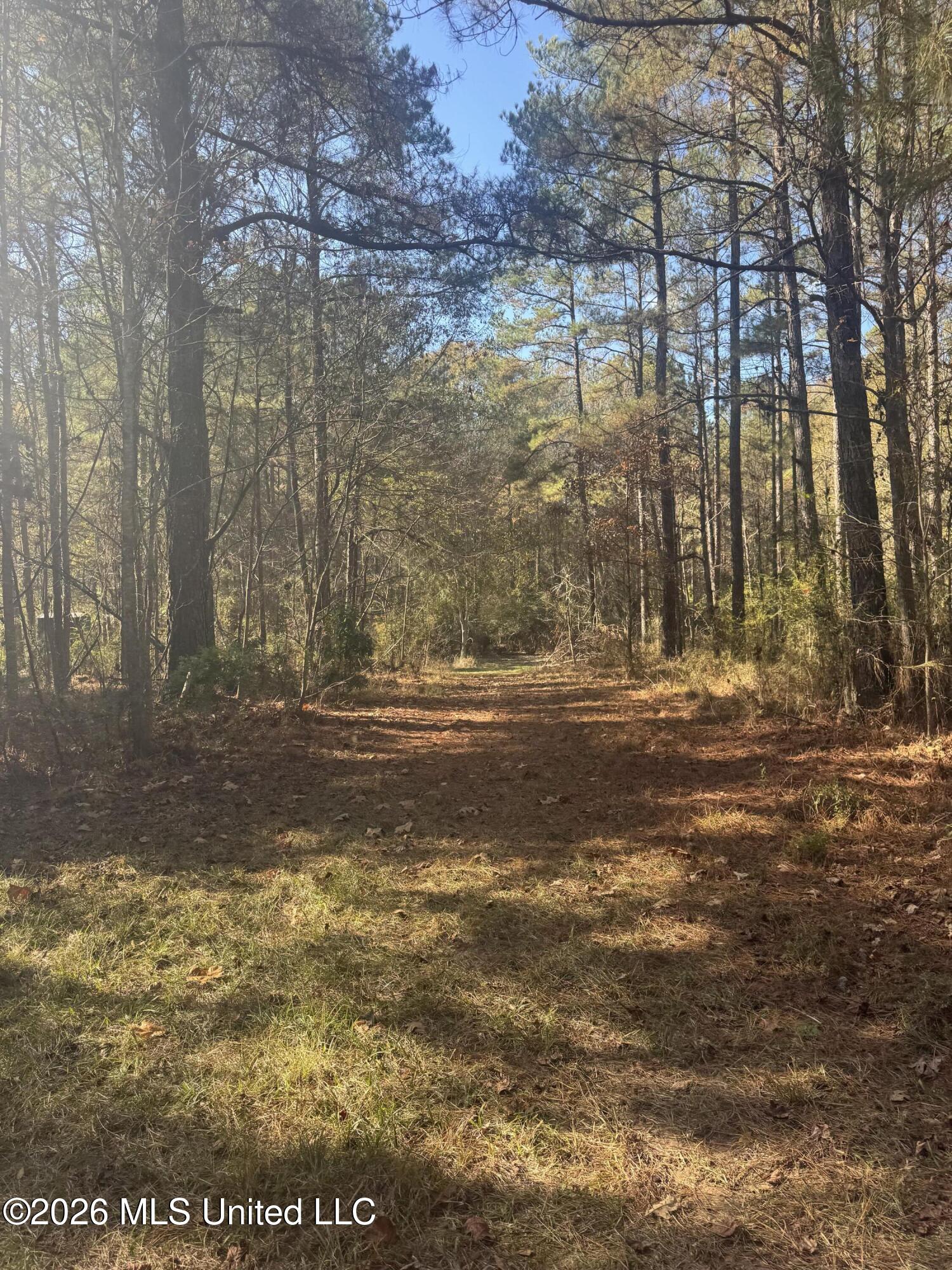 Mckenzie Road Tylertown, MS 39667 - Photo 37 of 50 37