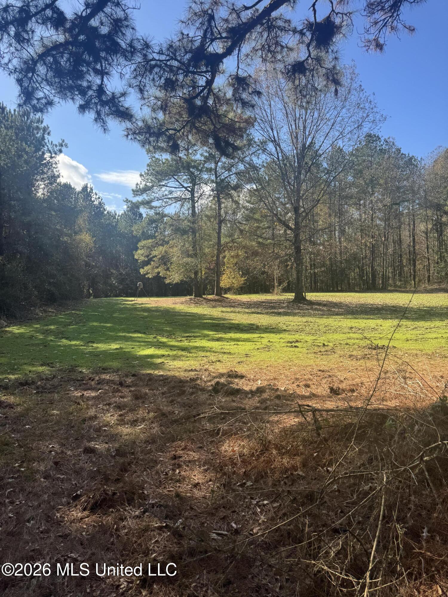 Mckenzie Road Tylertown, MS 39667 - Photo 39 of 50 39