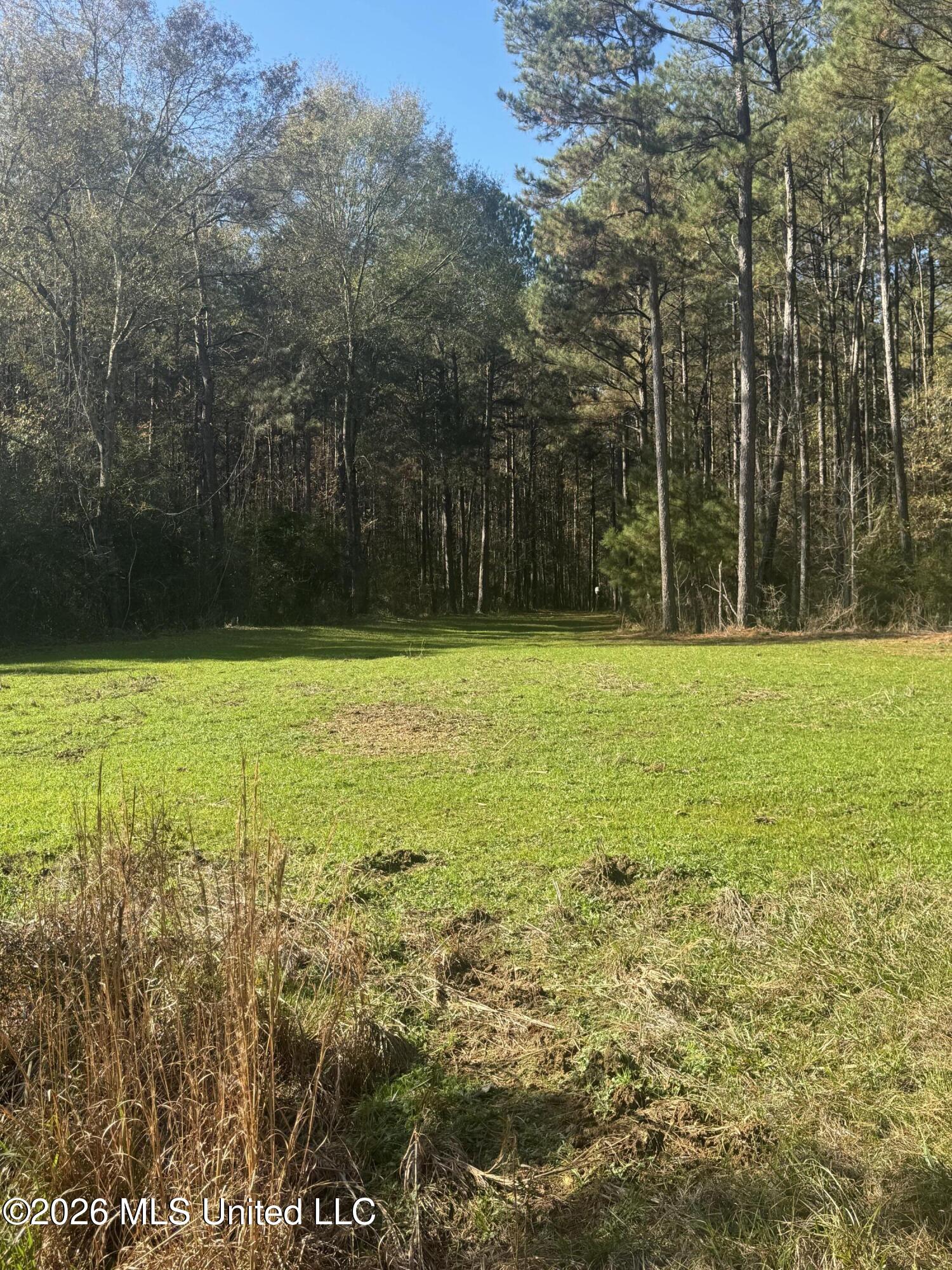 Mckenzie Road Tylertown, MS 39667 - Photo 46 of 50 46