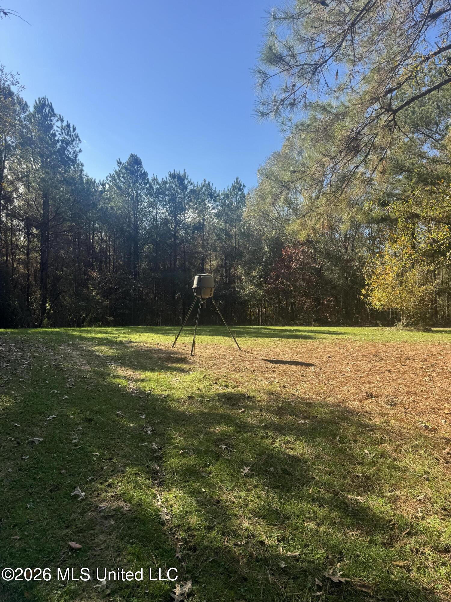 Mckenzie Road Tylertown, MS 39667 - Photo 5 of 50 5