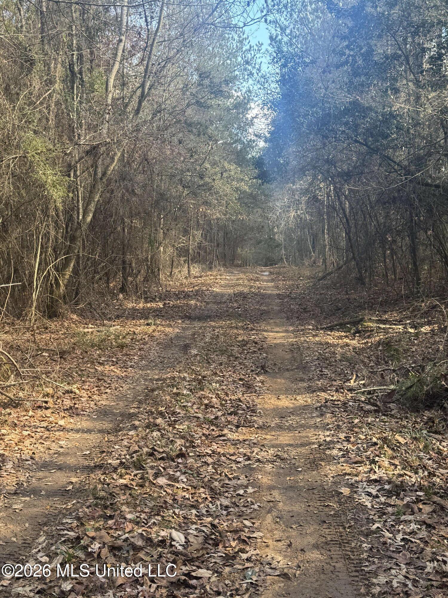 Mckenzie Road Tylertown, MS 39667 - Photo 6 of 50 6