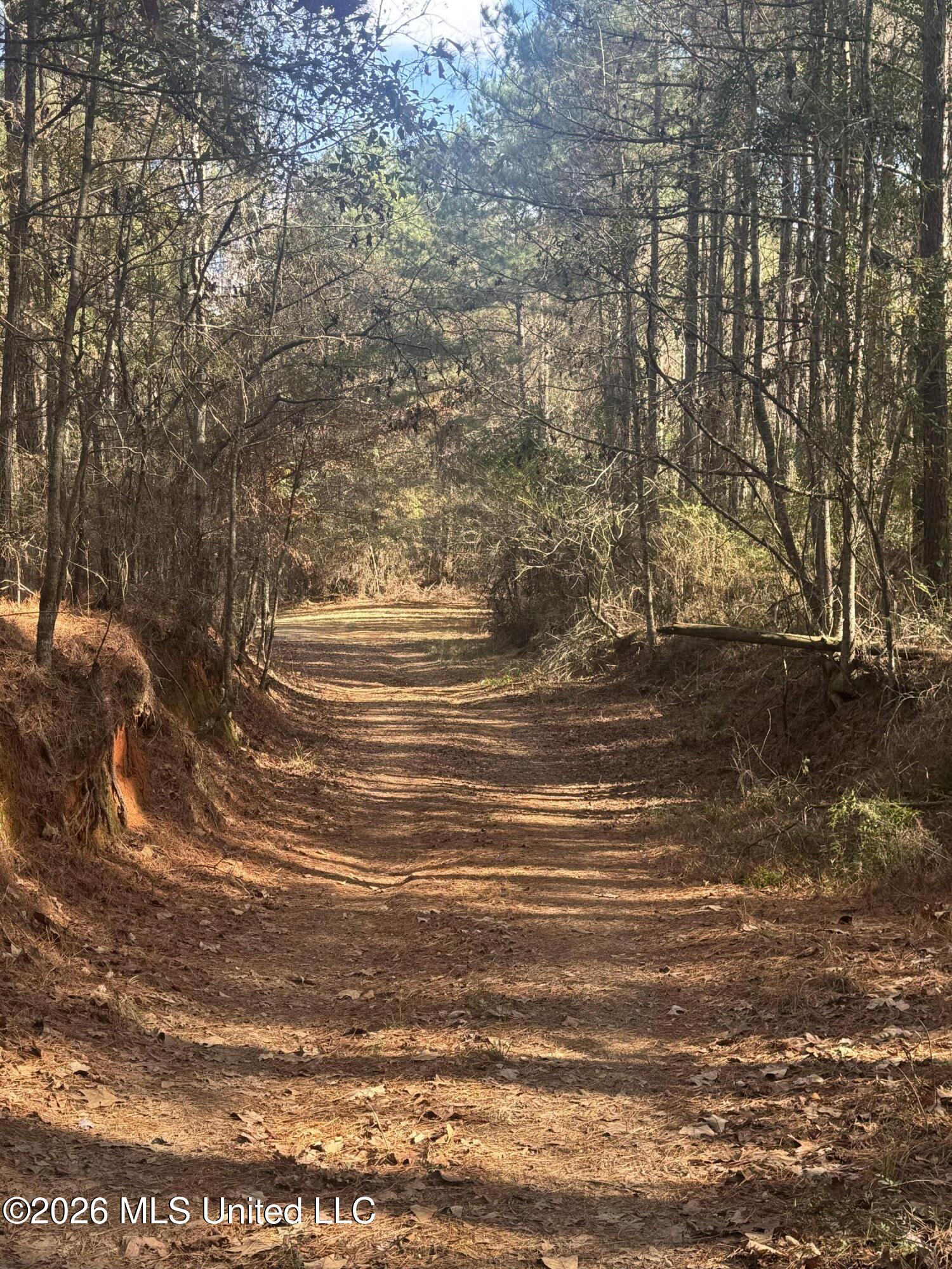 Mckenzie Road Tylertown, MS 39667 - Photo 8 of 50 8