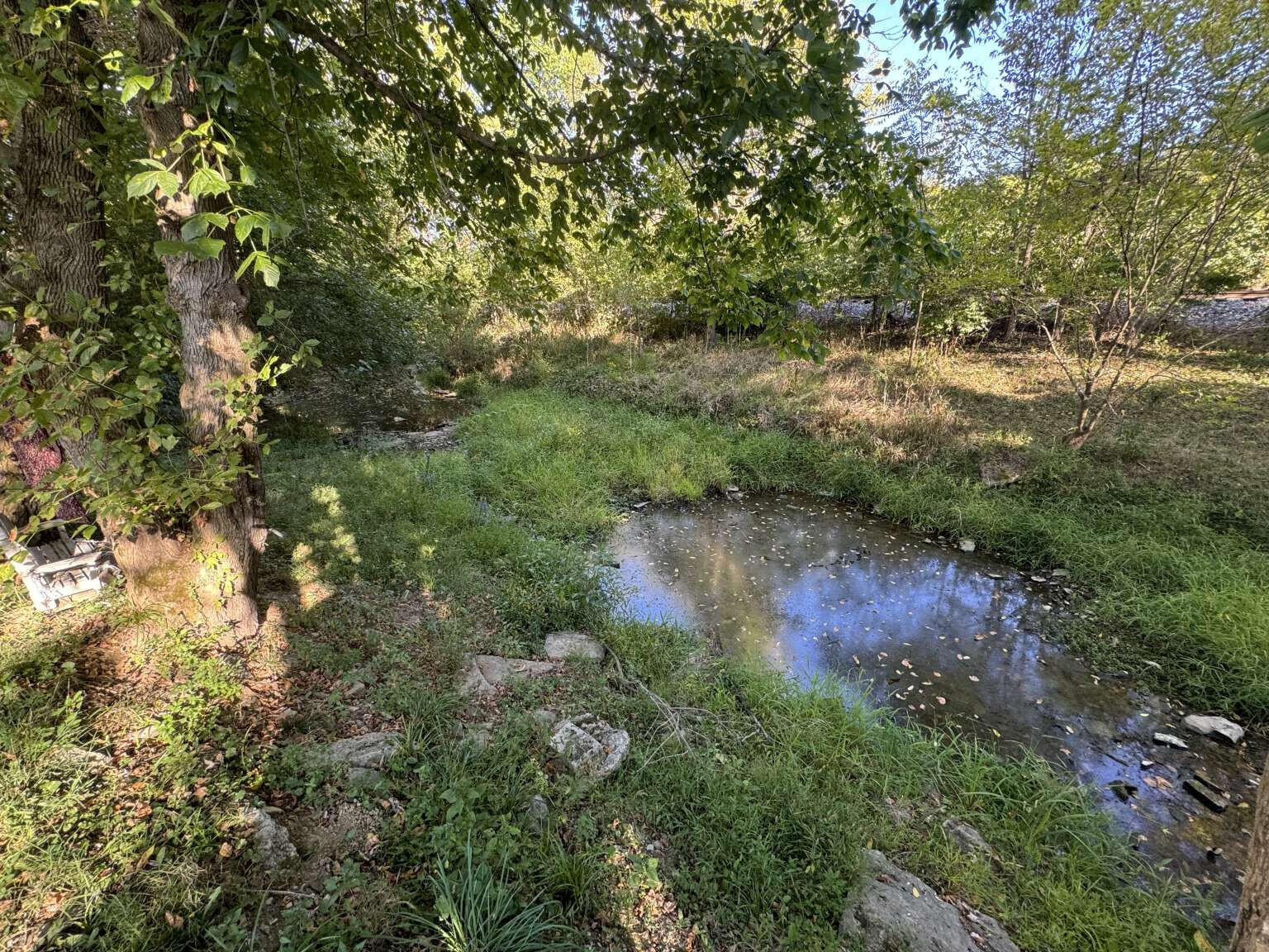 248 Moorefield Road Carlisle, KY 40311 - Photo 42 of 47 Pennebaker.42