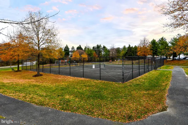 a view of a garden with wooden fence