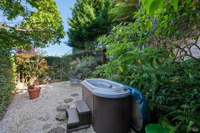 a view of a backyard with plants