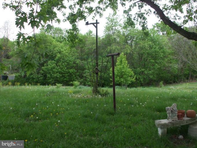 286 Lockhouse Road Falling Waters, WV 25419 - Photo 5 of 21 Back yard