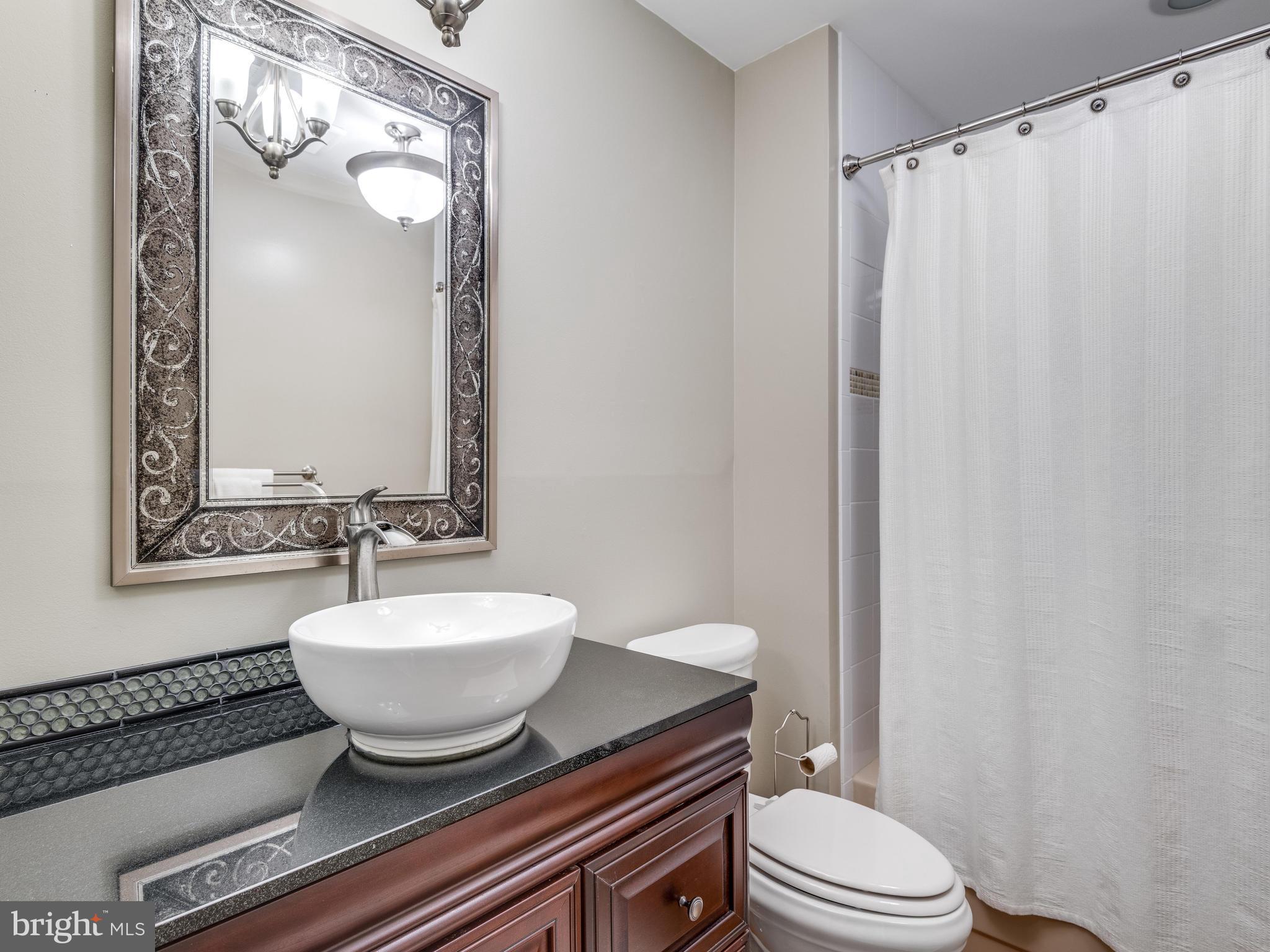 11798 Grey Birch Place Reston, VA 20191 - Photo 15 of 30 Lower-Level Bath