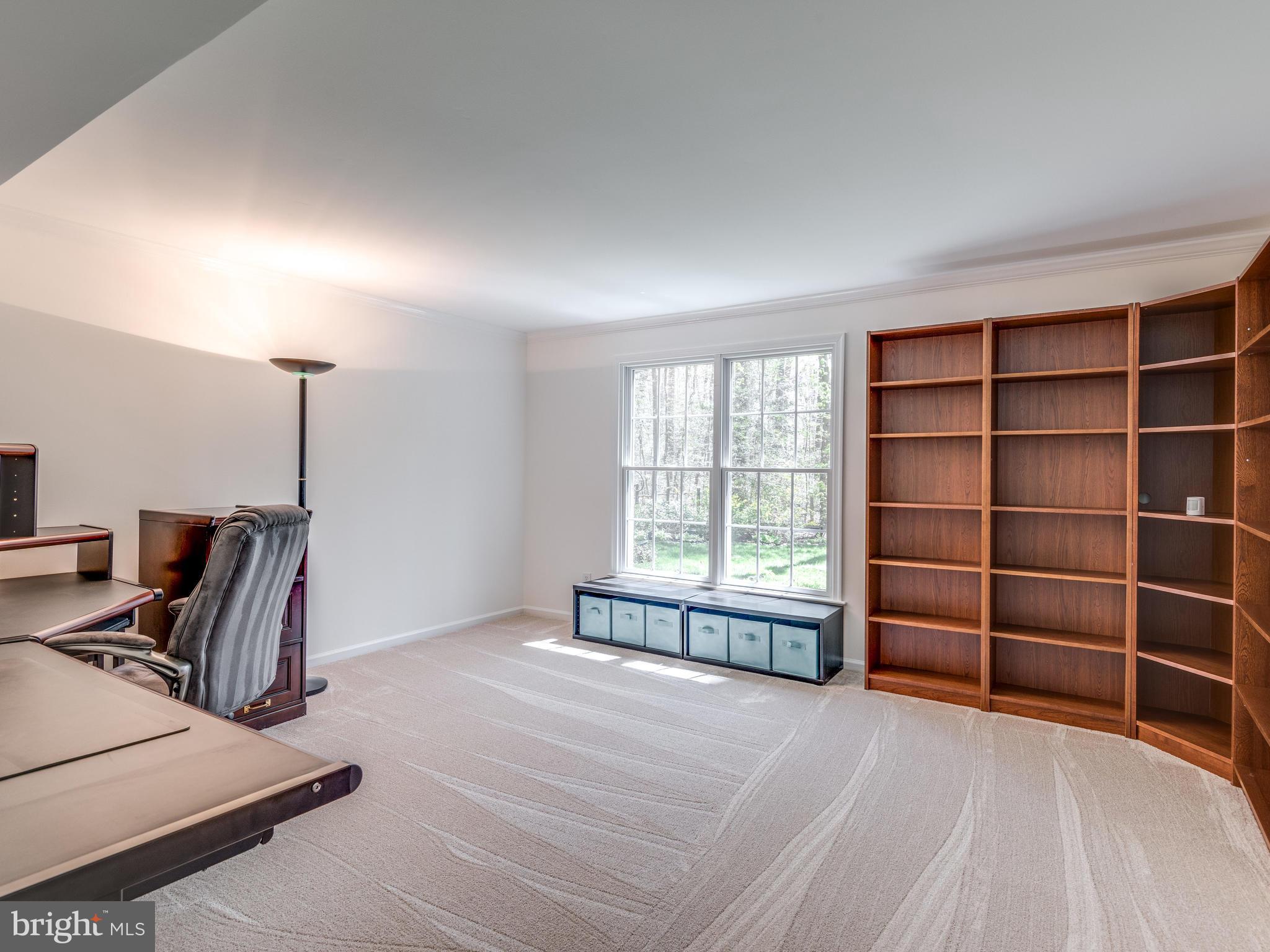 11798 Grey Birch Place Reston, VA 20191 - Photo 16 of 30 Lower Level Bedroom/Office with View of Woods