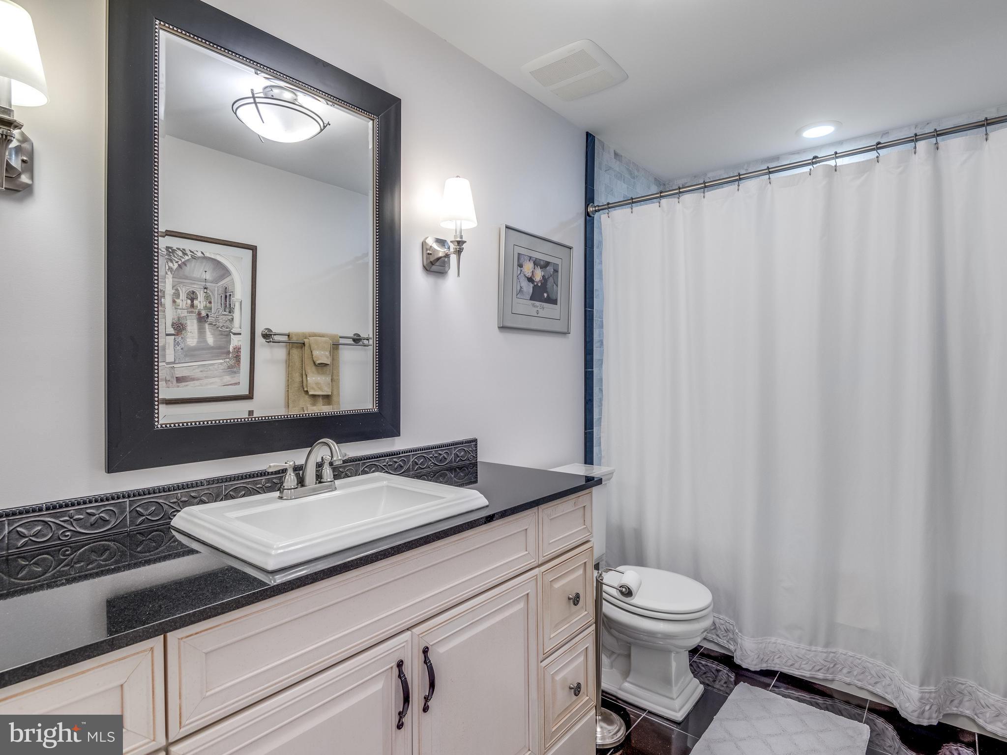 11798 Grey Birch Place Reston, VA 20191 - Photo 17 of 30 Upper Level Bathroom