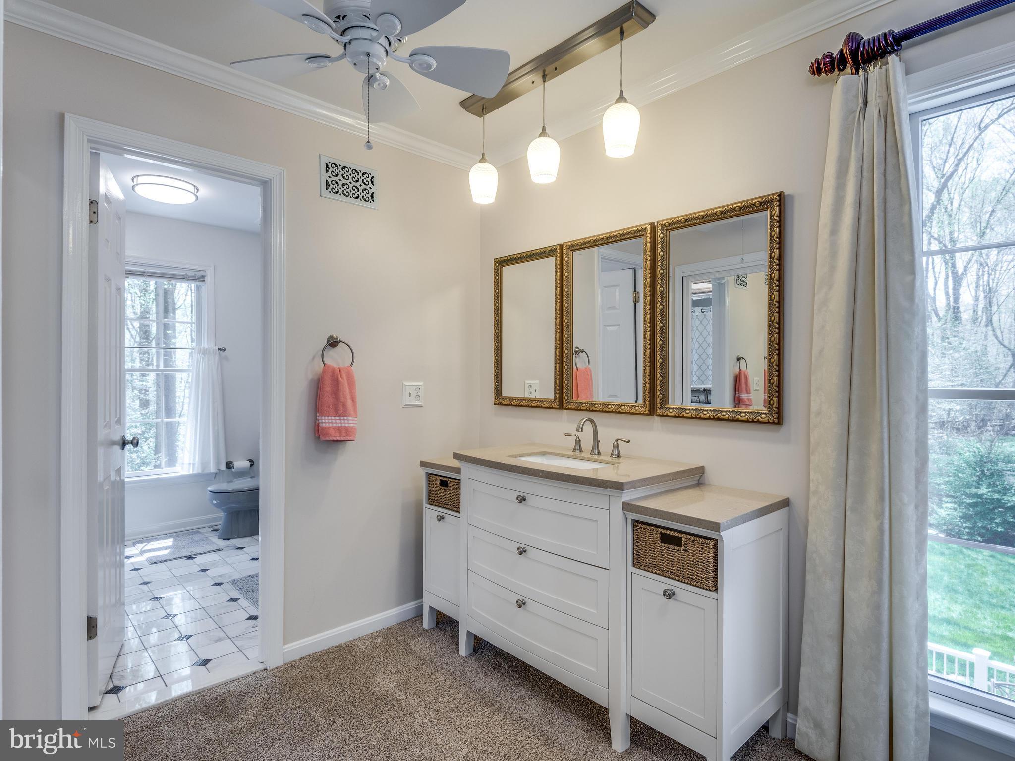 11798 Grey Birch Place Reston, VA 20191 - Photo 22 of 30 With additional sink and vanity
