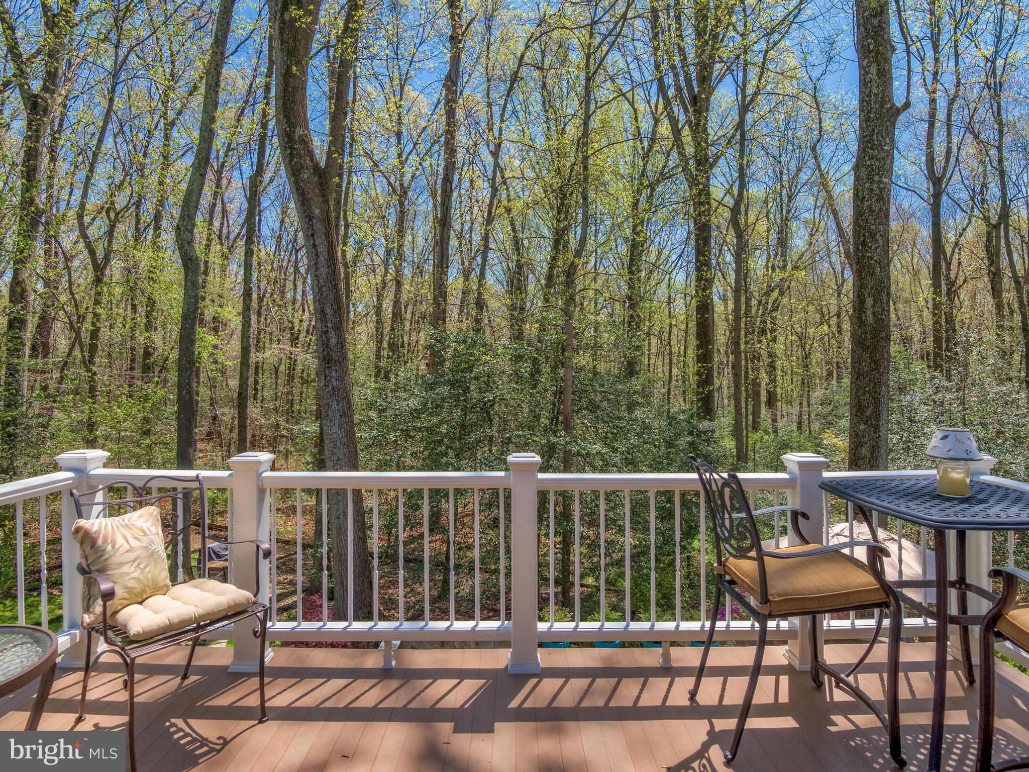 11798 Grey Birch Place Reston, VA 20191 - Photo 29 of 30 View From MBR Balcony
