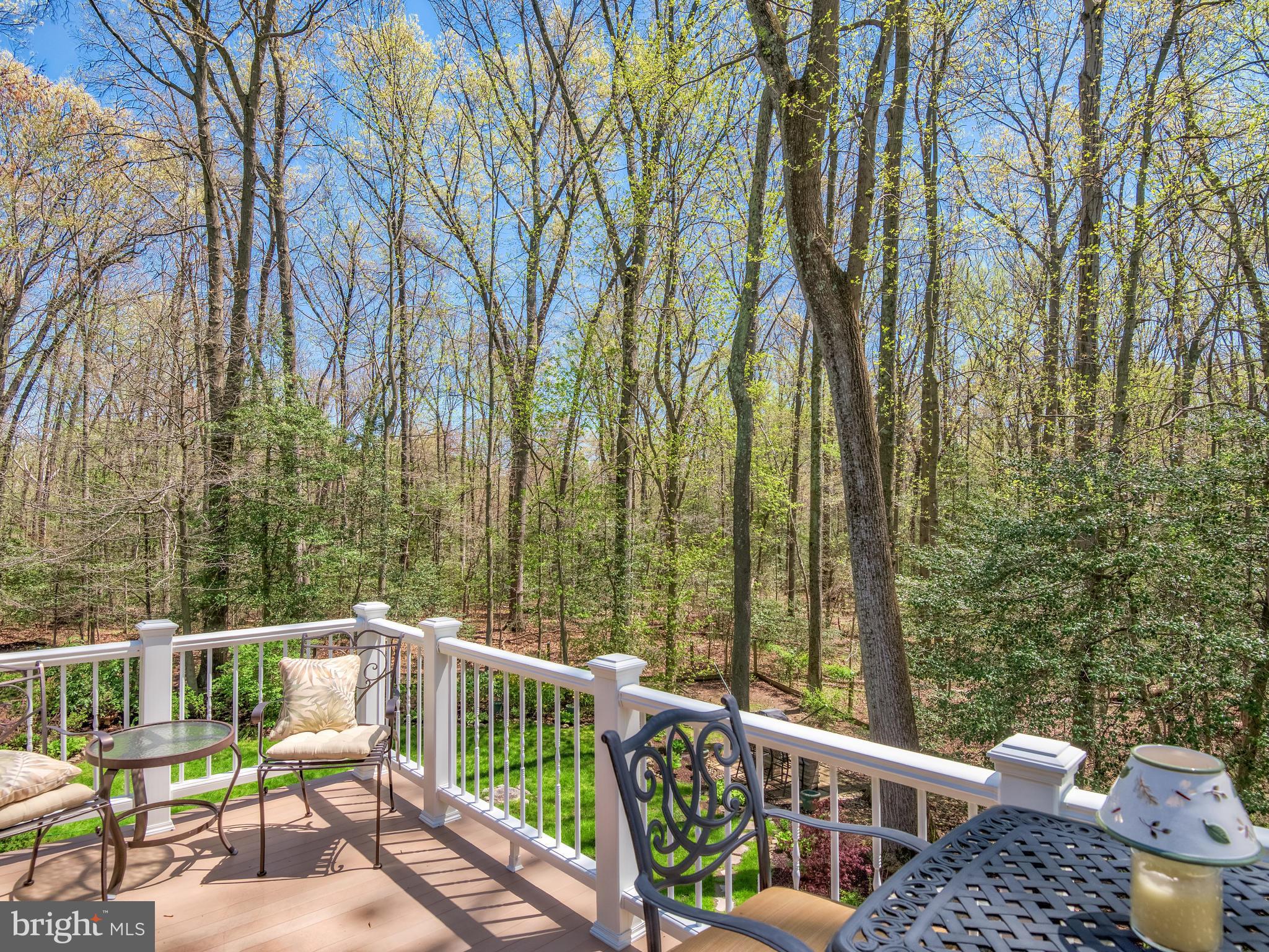 11798 Grey Birch Place Reston, VA 20191 - Photo 30 of 30 View of Woods from MBR Balcony