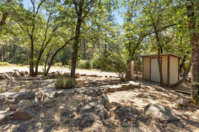 a view of a yard with large tree
