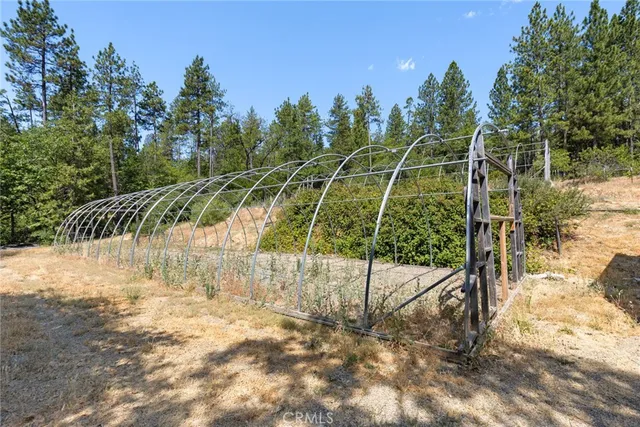 a view of a yard with plants and wooden fence