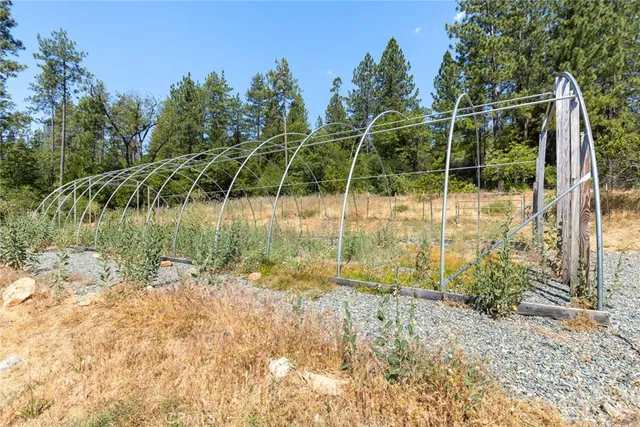a view of a backyard