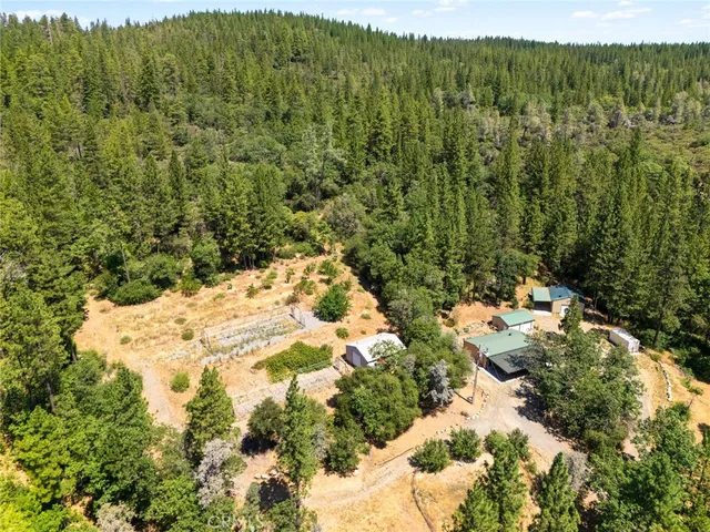 a view of a yard with a tree