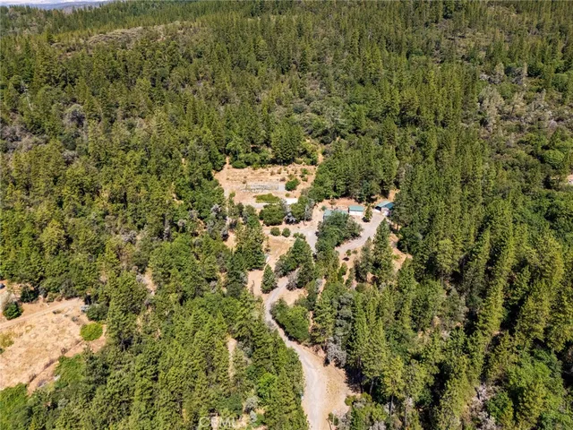 a view of a forest with houses