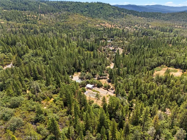 a view of a forest with a lush green forest