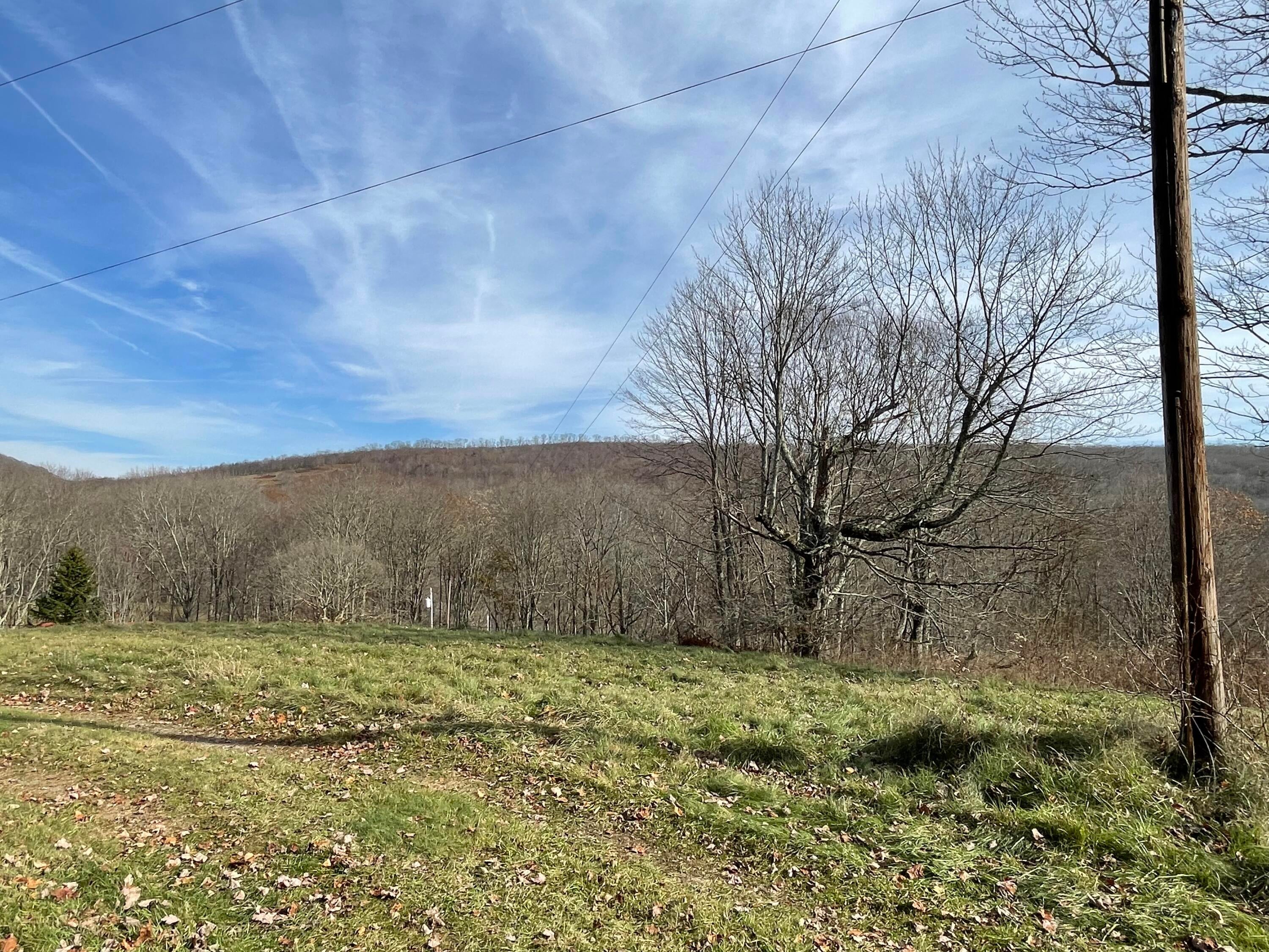 12593 Back Mountain Road Durbin, WV 26264 - Photo 22 of 84 Gallery Image 22