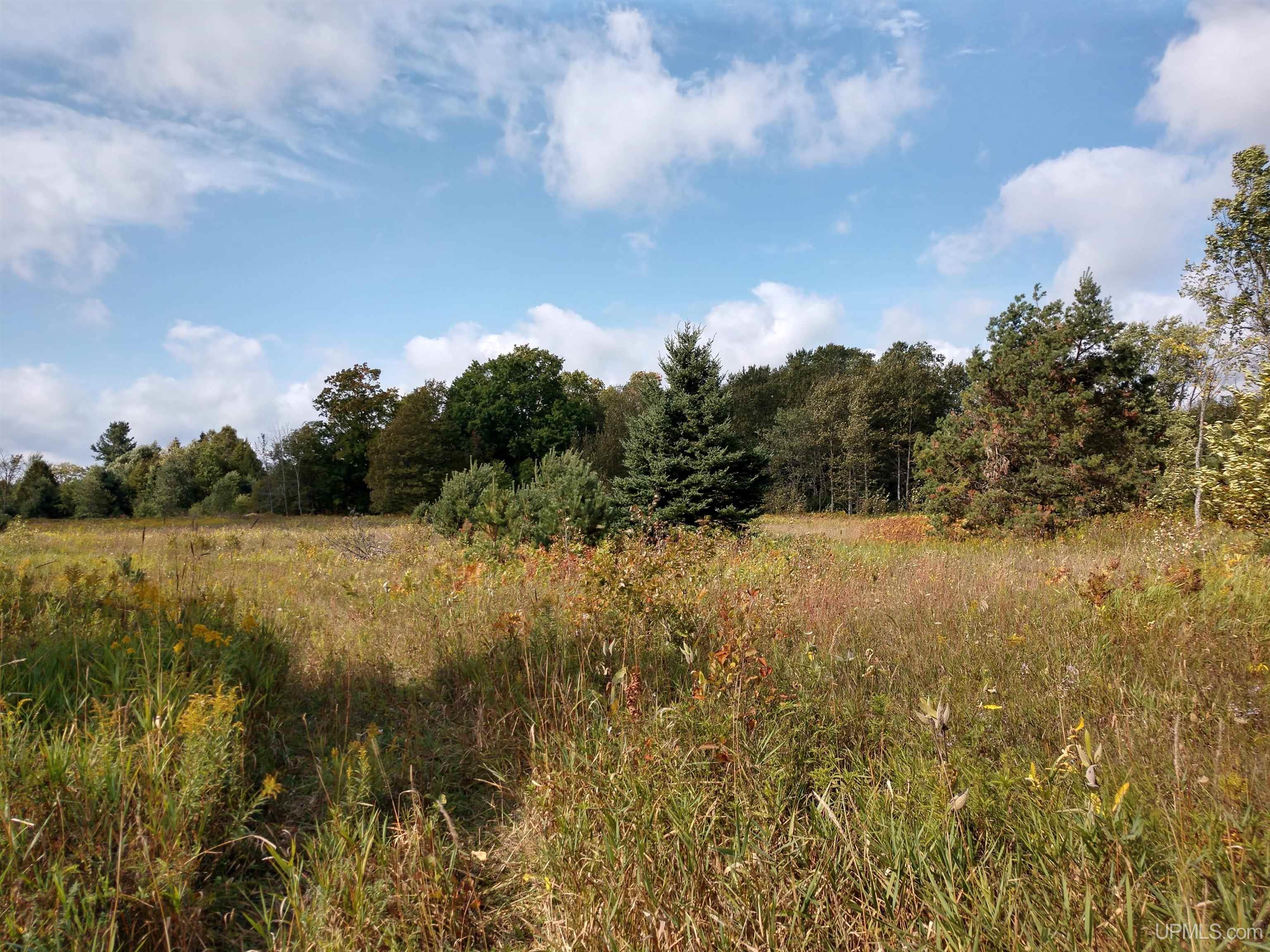 421-acres Lang Road Gulliver, MI 49840 - Photo 7 of 31 Gallery Image 7