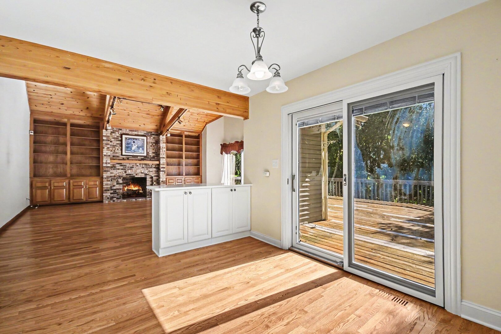 7221 Webster Street Downers Grove, IL 60516 - Photo 7 of 40