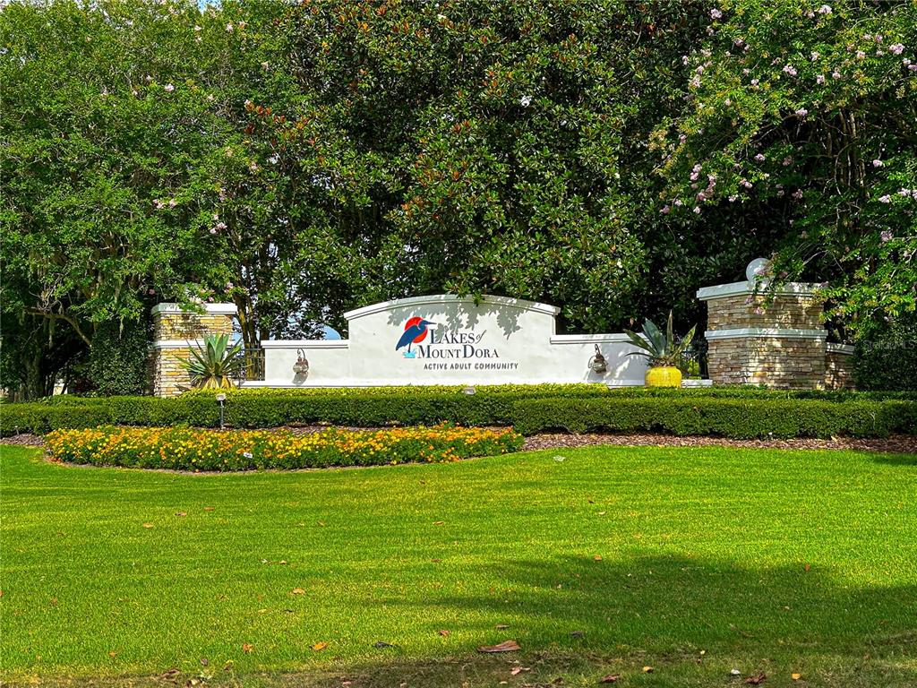 8045 Waterbury Way Mount Dora, FL 32757 - Photo 37 of 56 a view of a house with a big yard and large trees