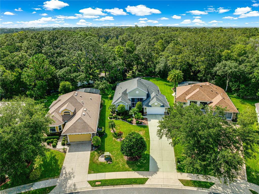 8045 Waterbury Way Mount Dora, FL 32757 - Photo 38 of 56 an aerial view of a house with pool patio and outdoor seating