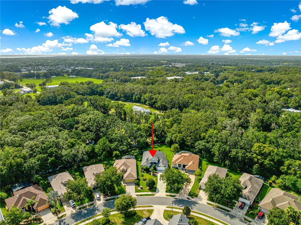 8045 Waterbury Way Mount Dora, FL 32757 - Photo 40 of 56 a view of a city with lots of green space
