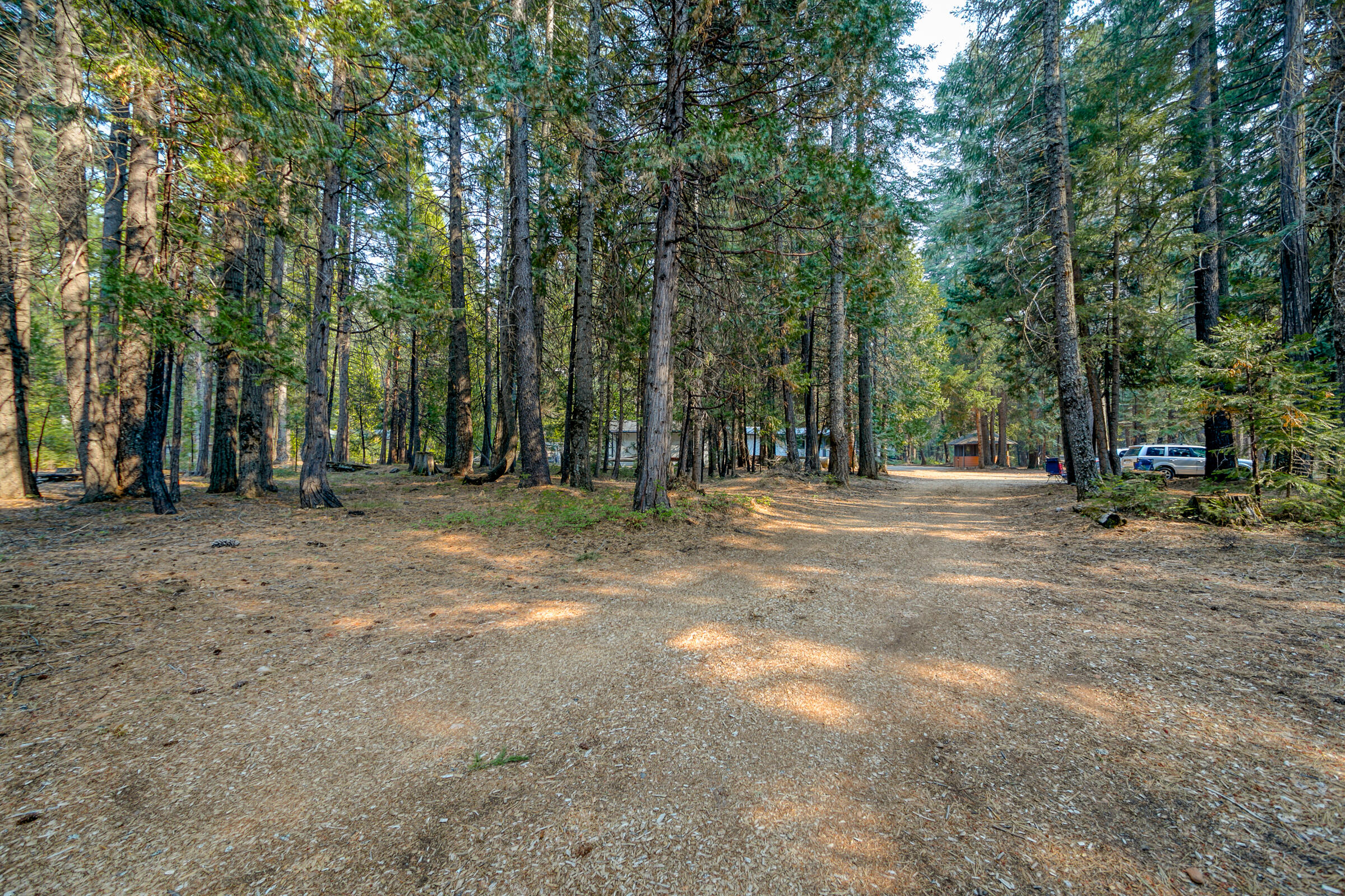 8133 Lake McCumber Road Shingletown, CA 96088 - Photo 40 of 56 Property