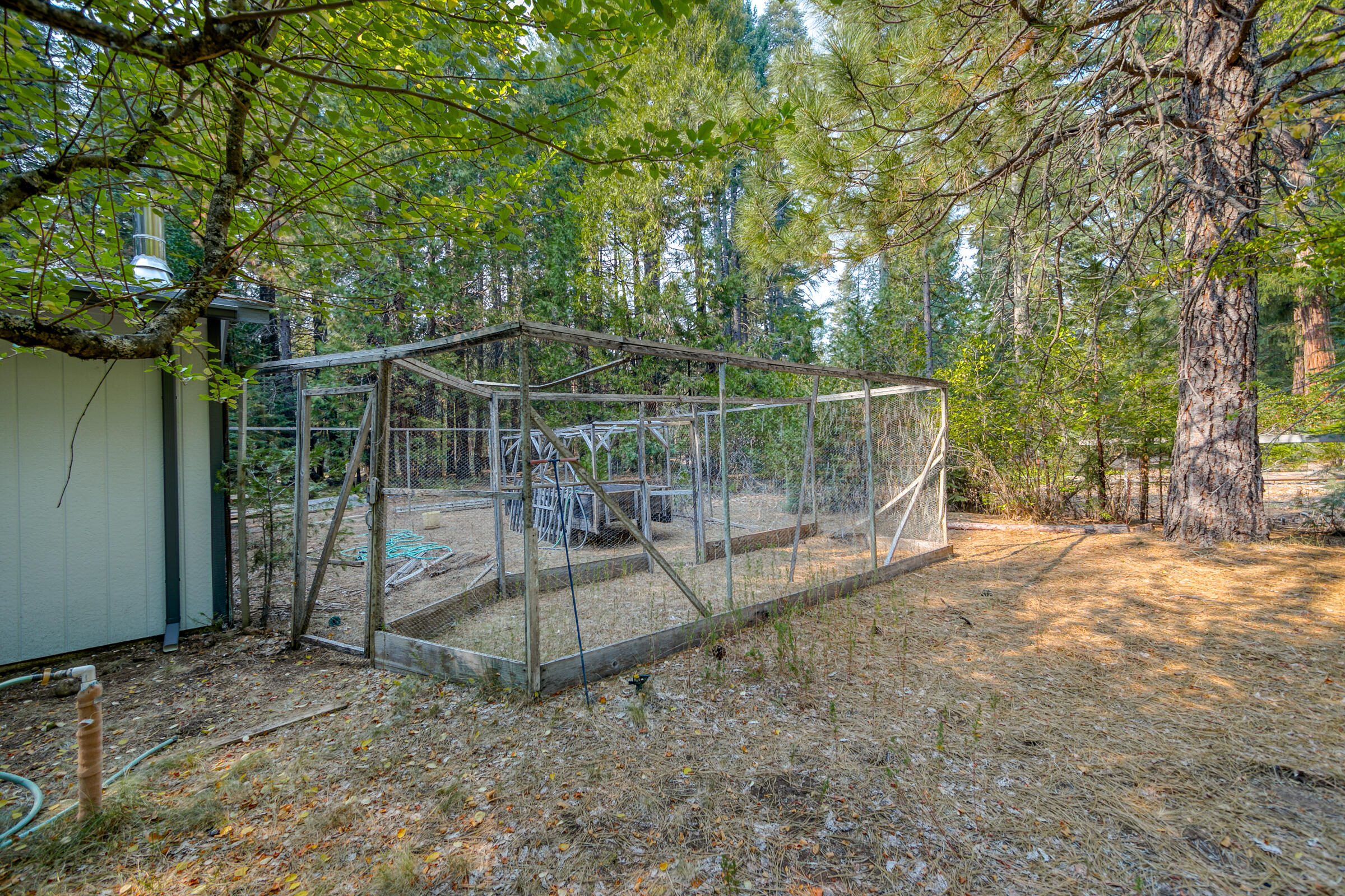 8133 Lake McCumber Road Shingletown, CA 96088 - Photo 41 of 56 Garden Area/Chicken Coop