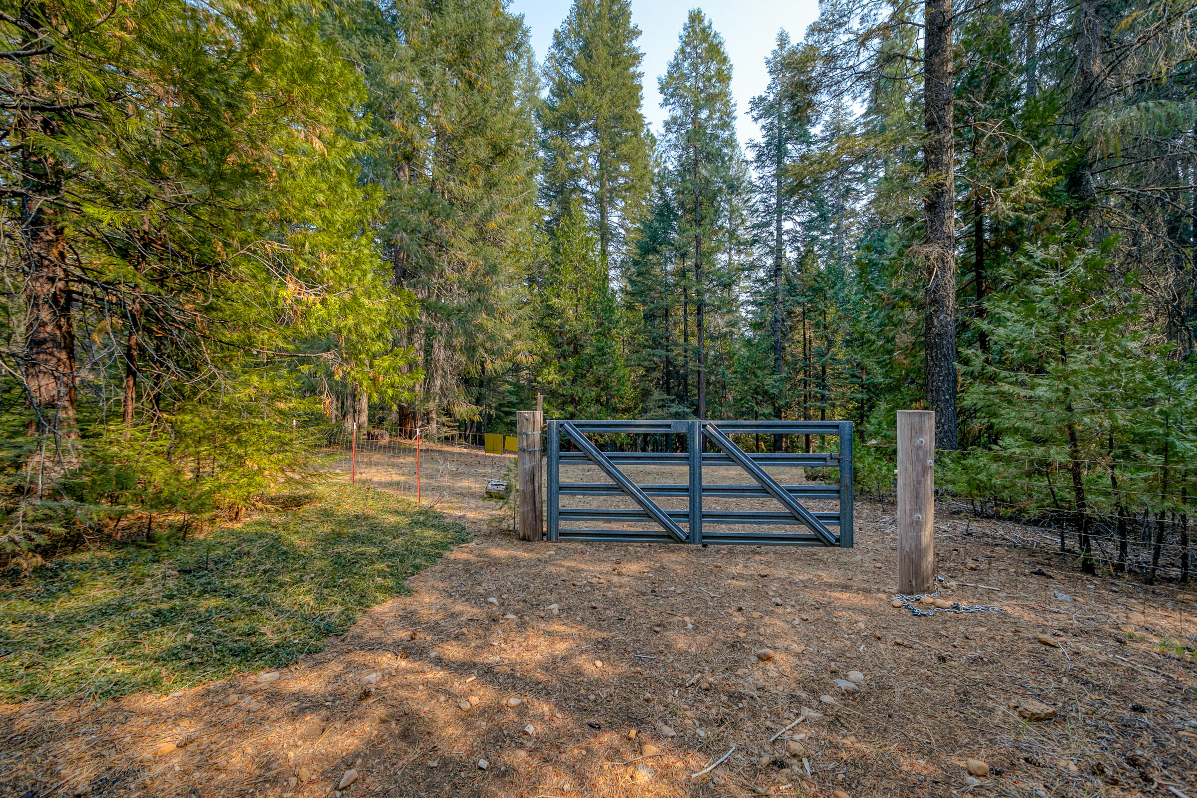 8133 Lake McCumber Road Shingletown, CA 96088 - Photo 48 of 56 Back Gate