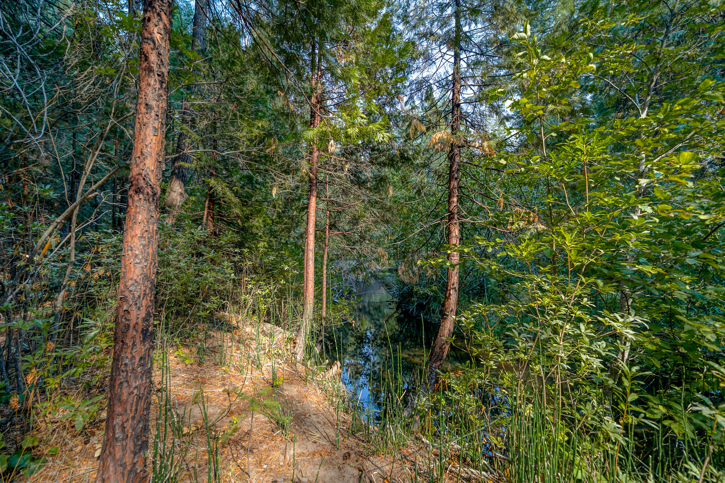 8133 Lake McCumber Road Shingletown, CA 96088 - Photo 51 of 56 Battle Creek