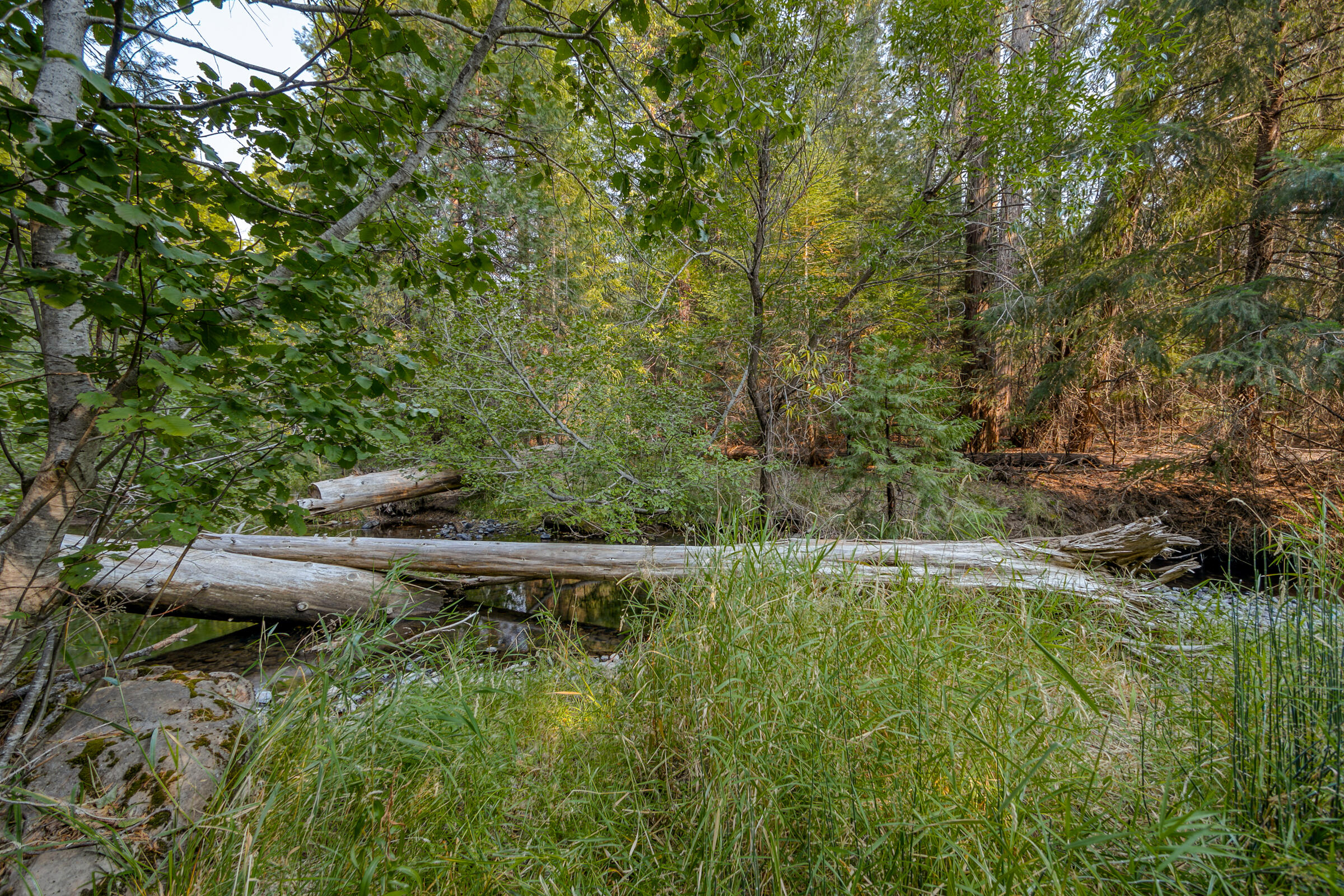 8133 Lake McCumber Road Shingletown, CA 96088 - Photo 52 of 56 Battle Creek