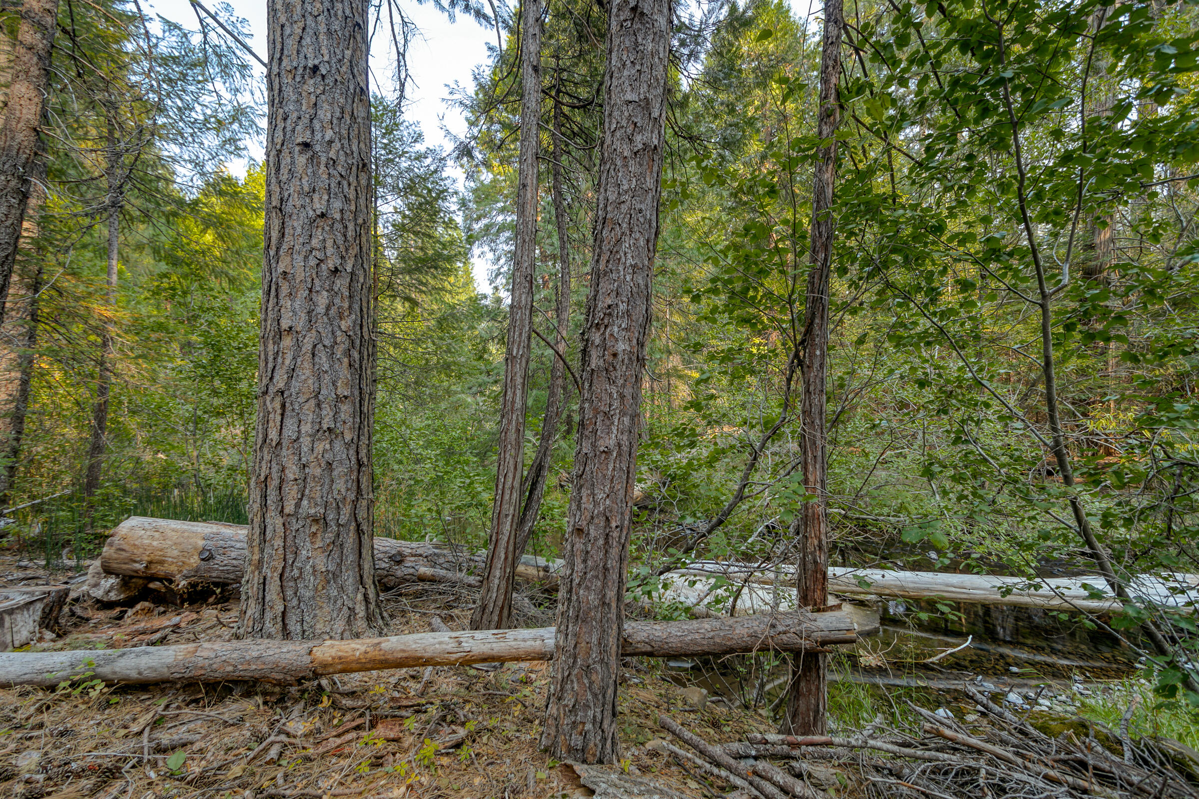 8133 Lake McCumber Road Shingletown, CA 96088 - Photo 53 of 56 Battle Creek