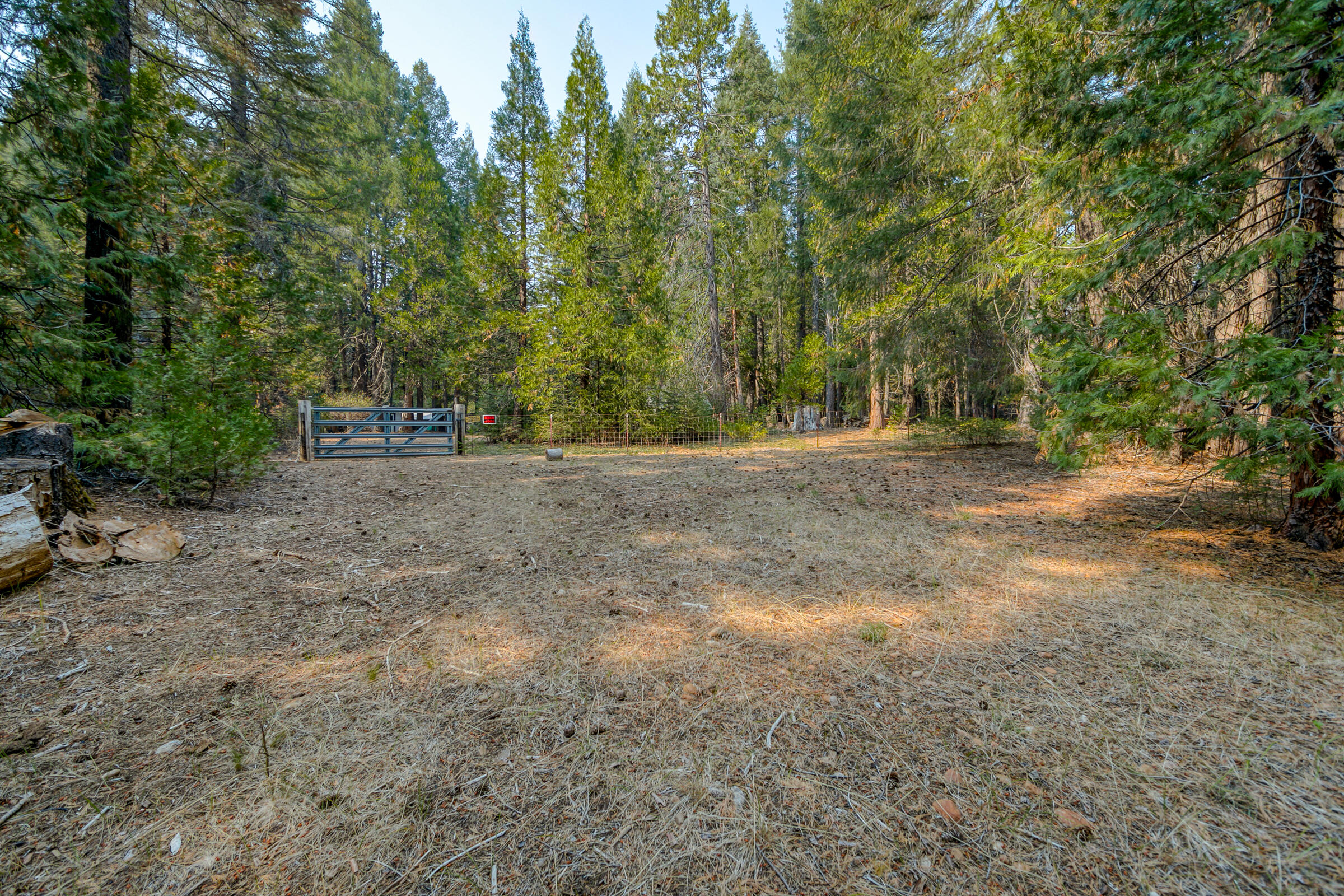 8133 Lake McCumber Road Shingletown, CA 96088 - Photo 54 of 56 Property