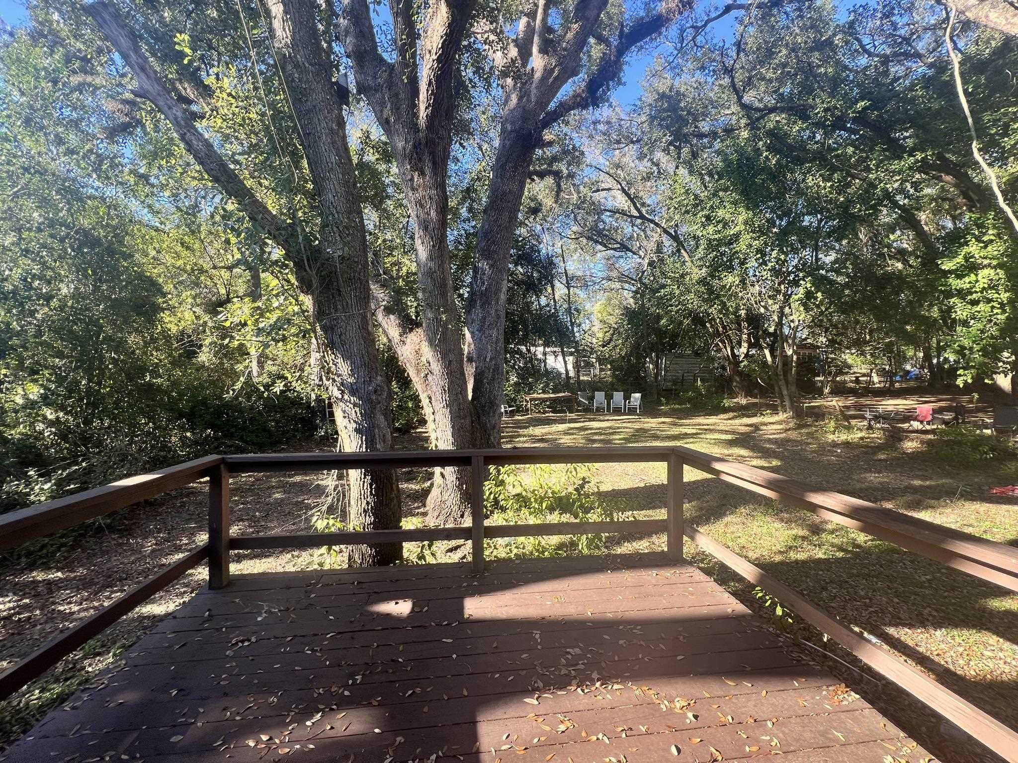 206 North Lipona Road Tallahassee, FL 32304 - Photo 6 of 17
