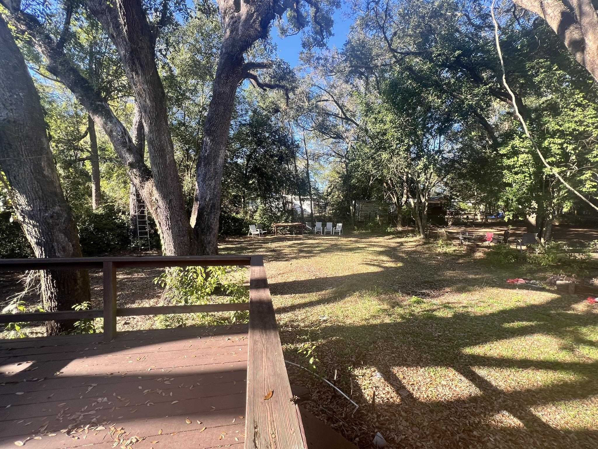 206 North Lipona Road Tallahassee, FL 32304 - Photo 7 of 17