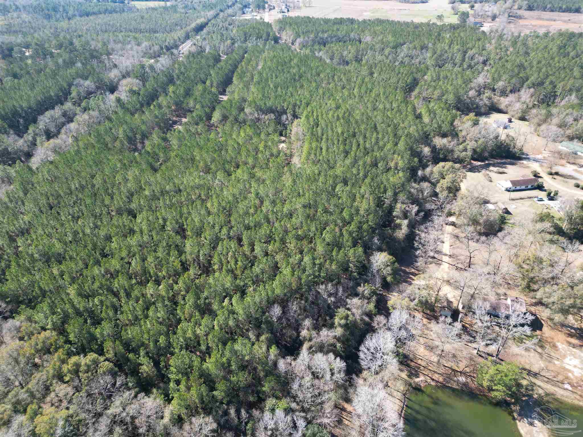 0 Old Fannie Road Flomaton, AL 36441 - Photo 2 of 6 a view of a forest with a forest