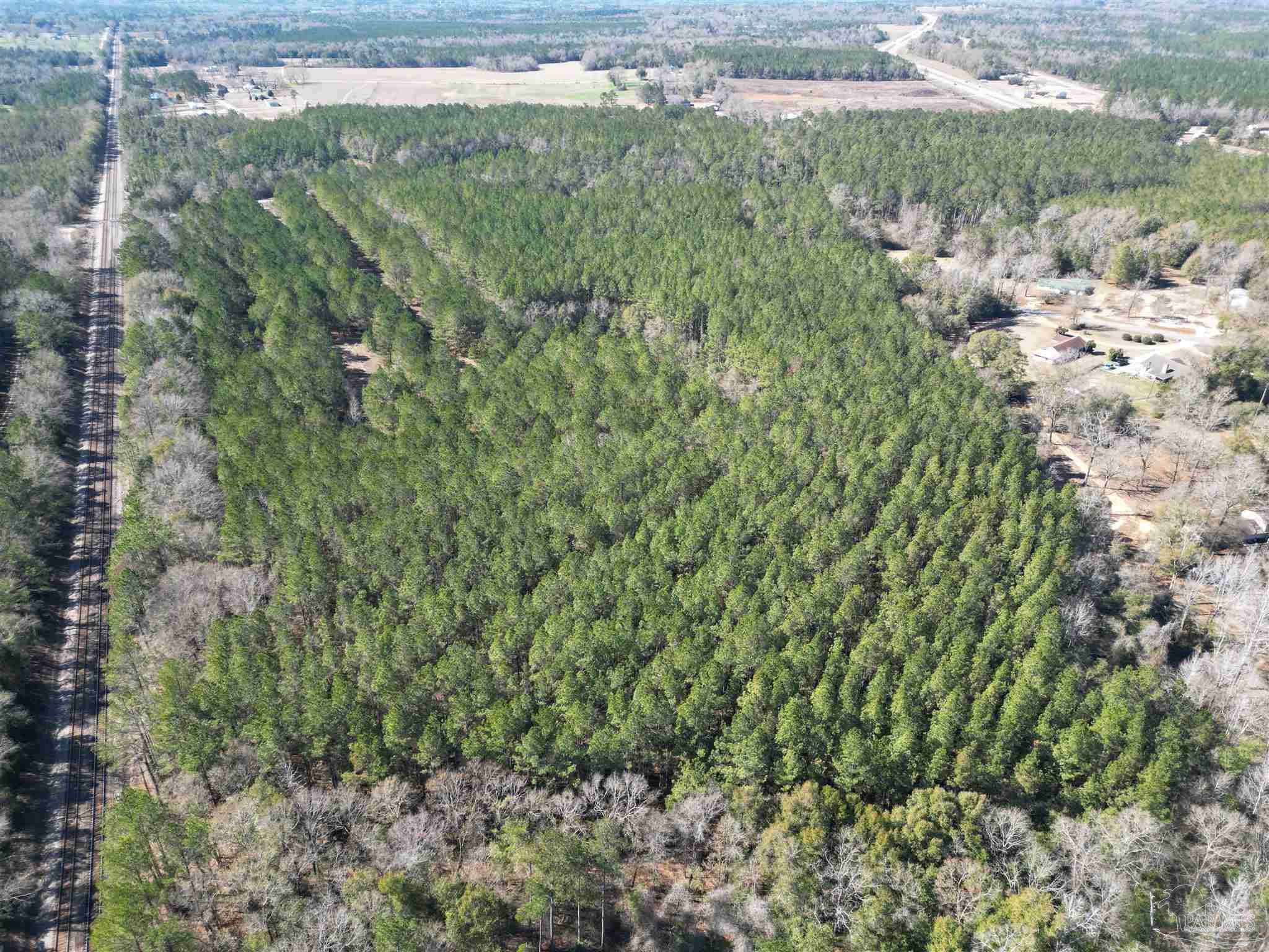 0 Old Fannie Road Flomaton, AL 36441 - Photo 3 of 6 a view of a garden with a plant