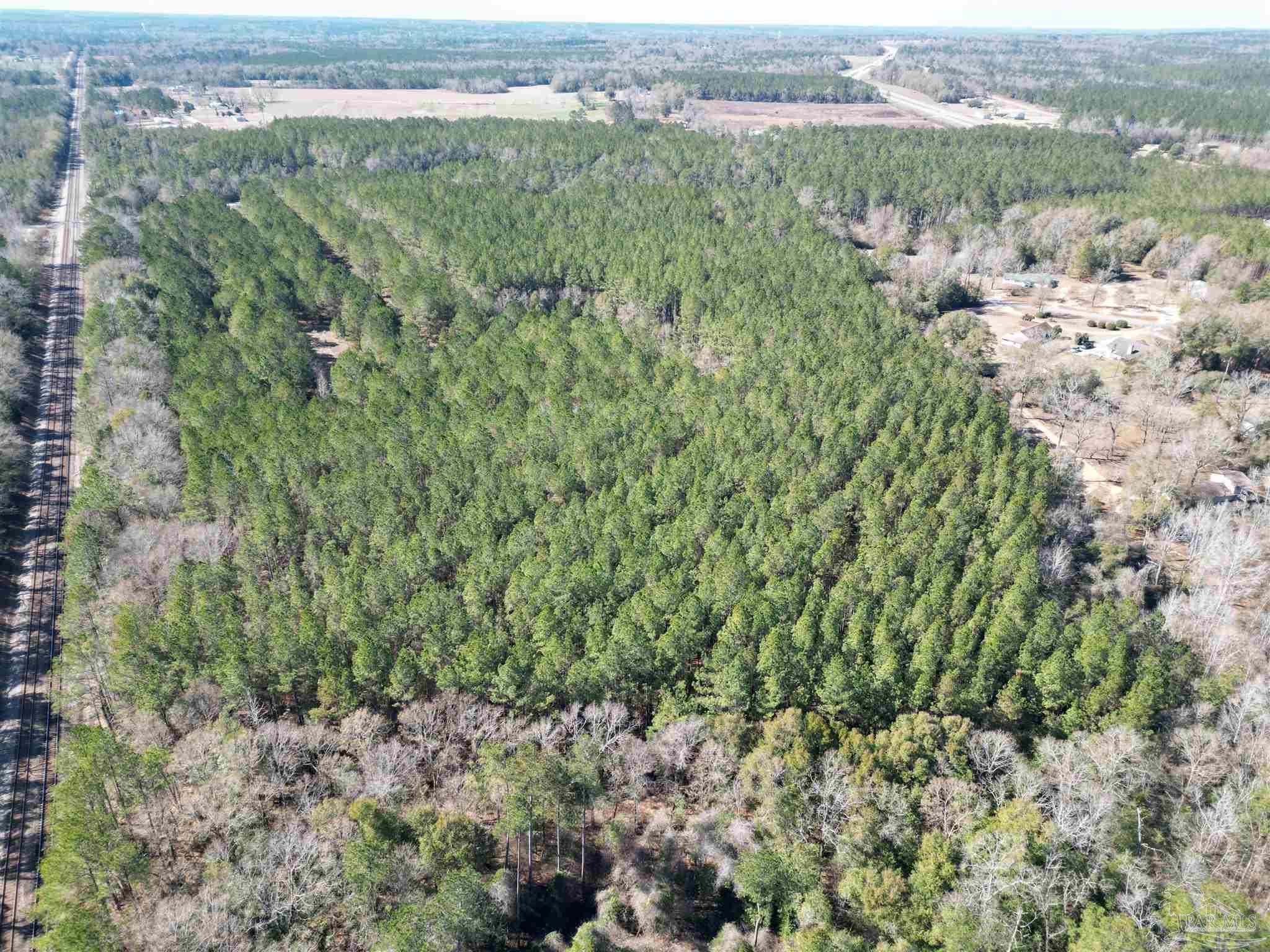 0 Old Fannie Road Flomaton, AL 36441 - Photo 4 of 6 a view of a city with lush green forest