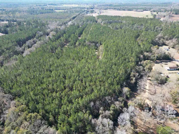 $208,040 | 0 Old Fannie Road, Flomaton, AL 36441